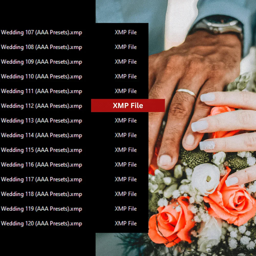 Cinematic Luts & Lightroom presets by AAA Presets