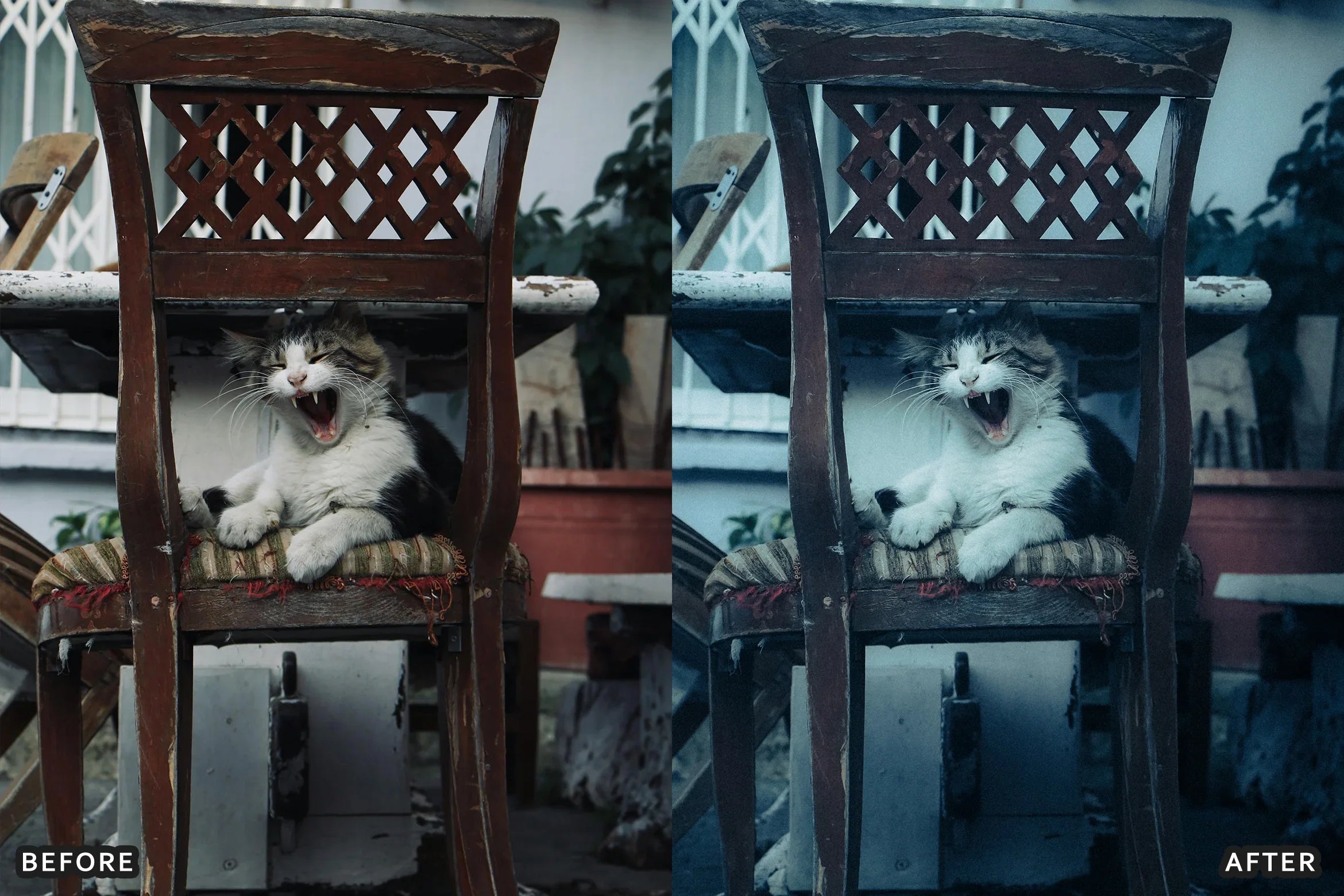 AI-Optimized 80s Vintage Pastel Tone Lightroom Presets - Lightroom Presets - by AAA Presets