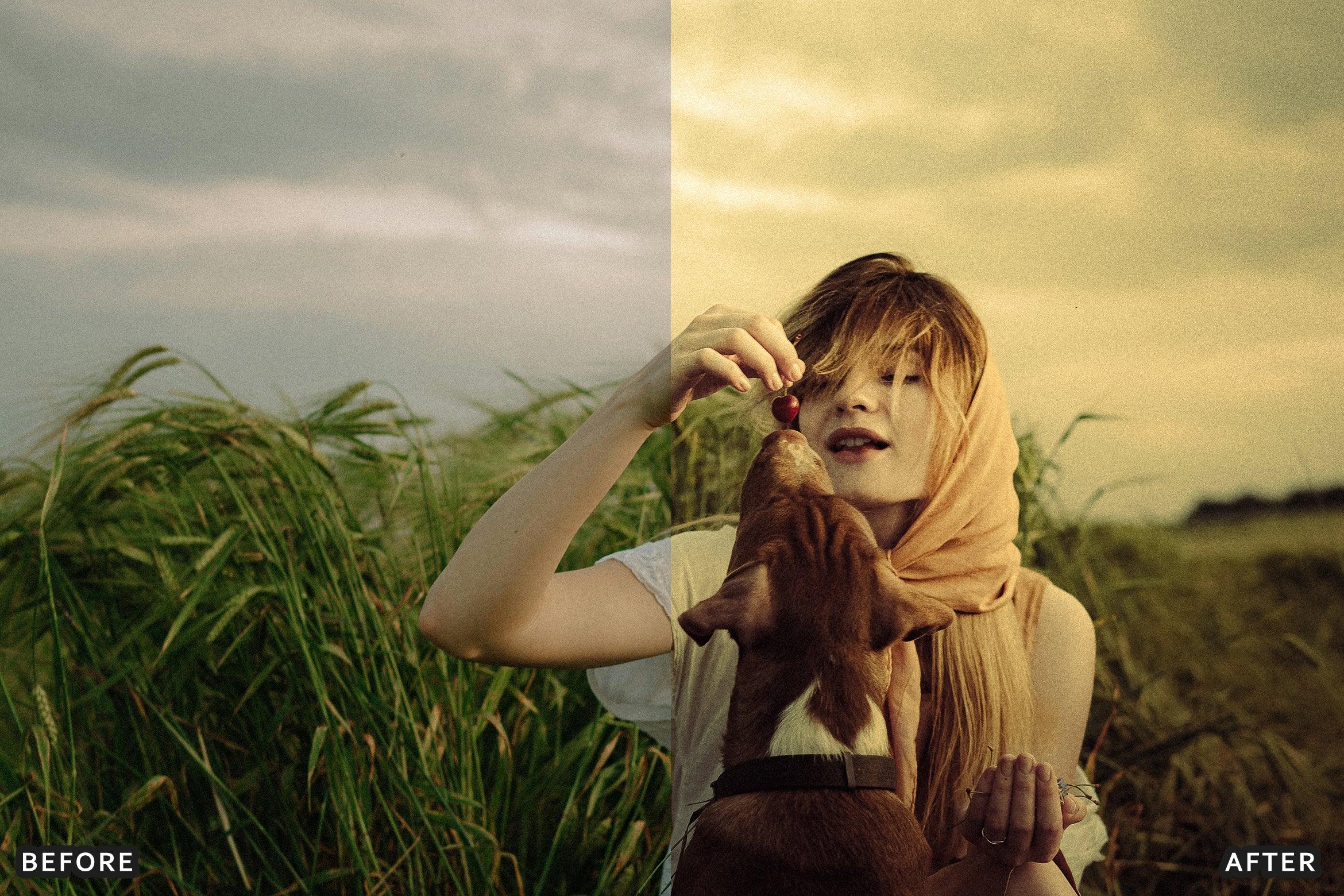 AI-Optimized Amber Forest Dream Lightroom Presets - Lightroom Presets - by AAA Presets