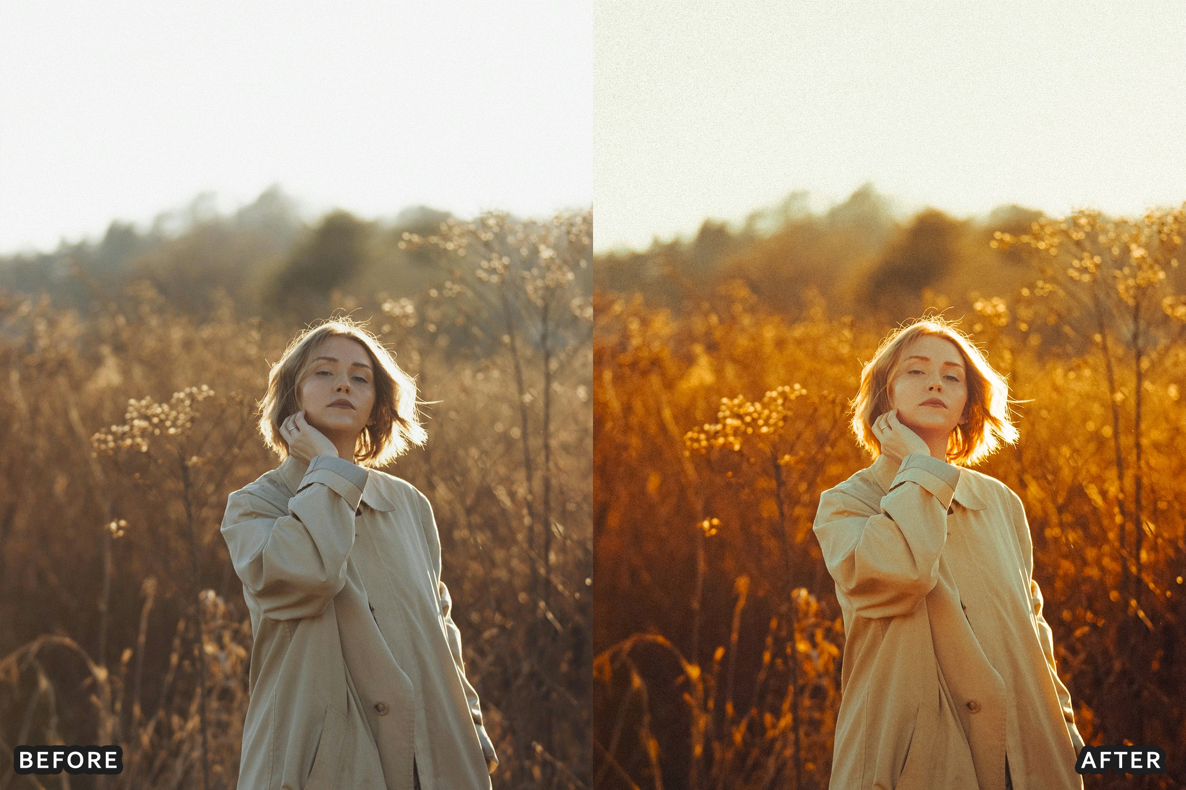 AI-Optimized Autumn Gold Tones Lightroom Presets - Lightroom Presets - by AAA Presets