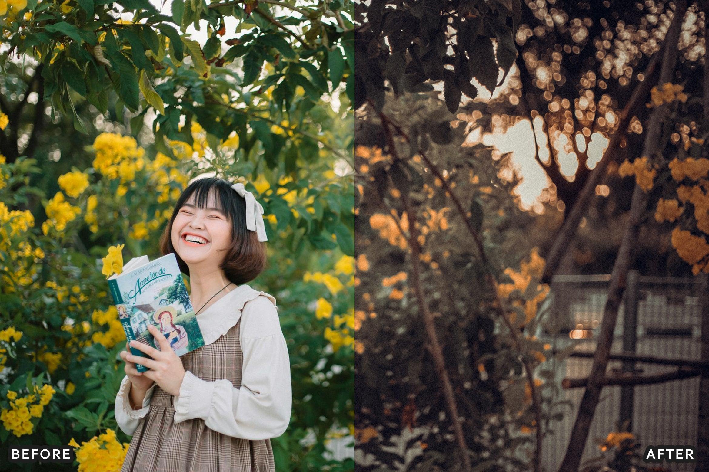 AI-Optimized Brown Aesthetic Lightroom Presets - Lightroom Presets - by AAA Presets