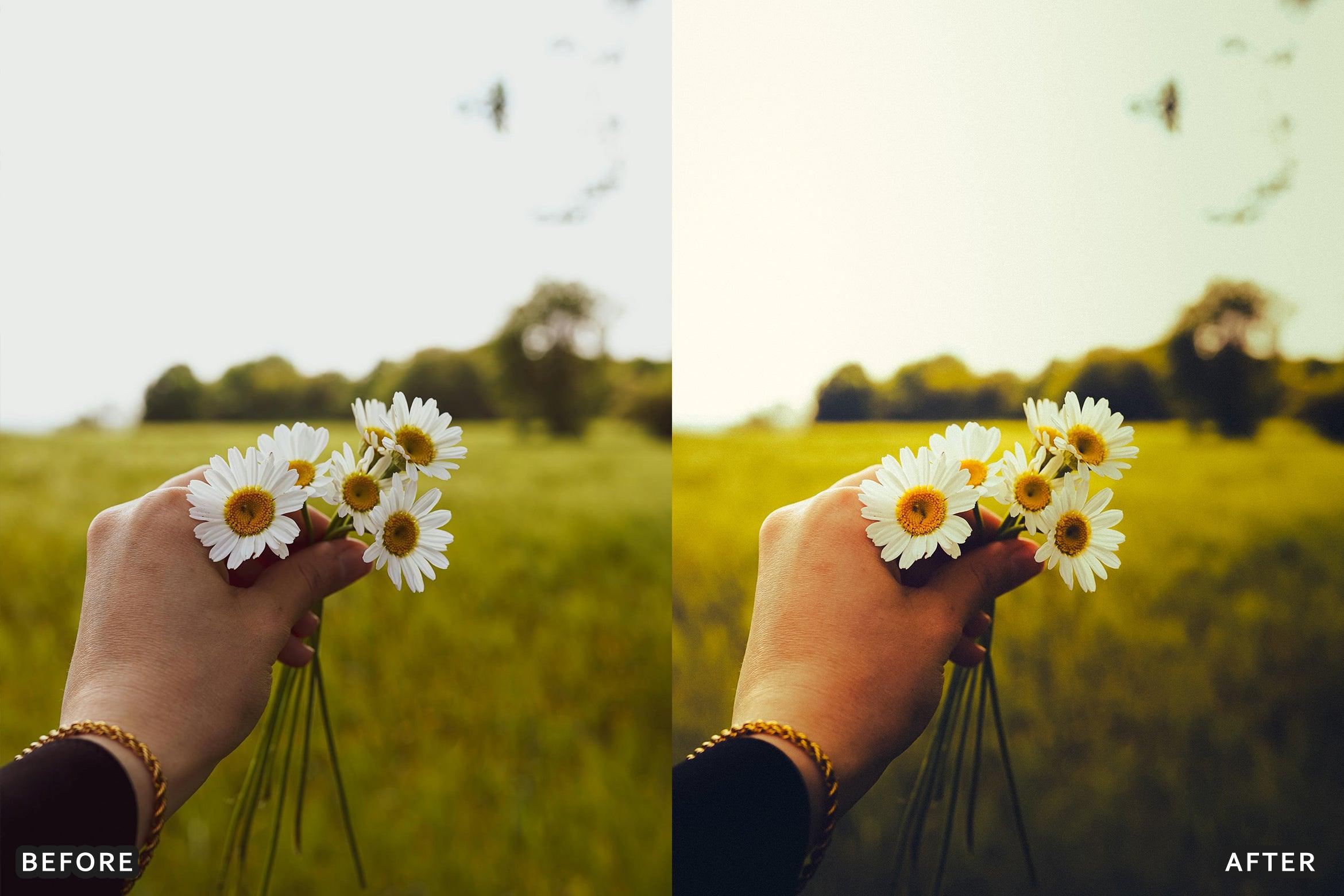 AI-Optimized Cherry Blossom Tones Lightroom Presets - Lightroom Presets - by AAA Presets