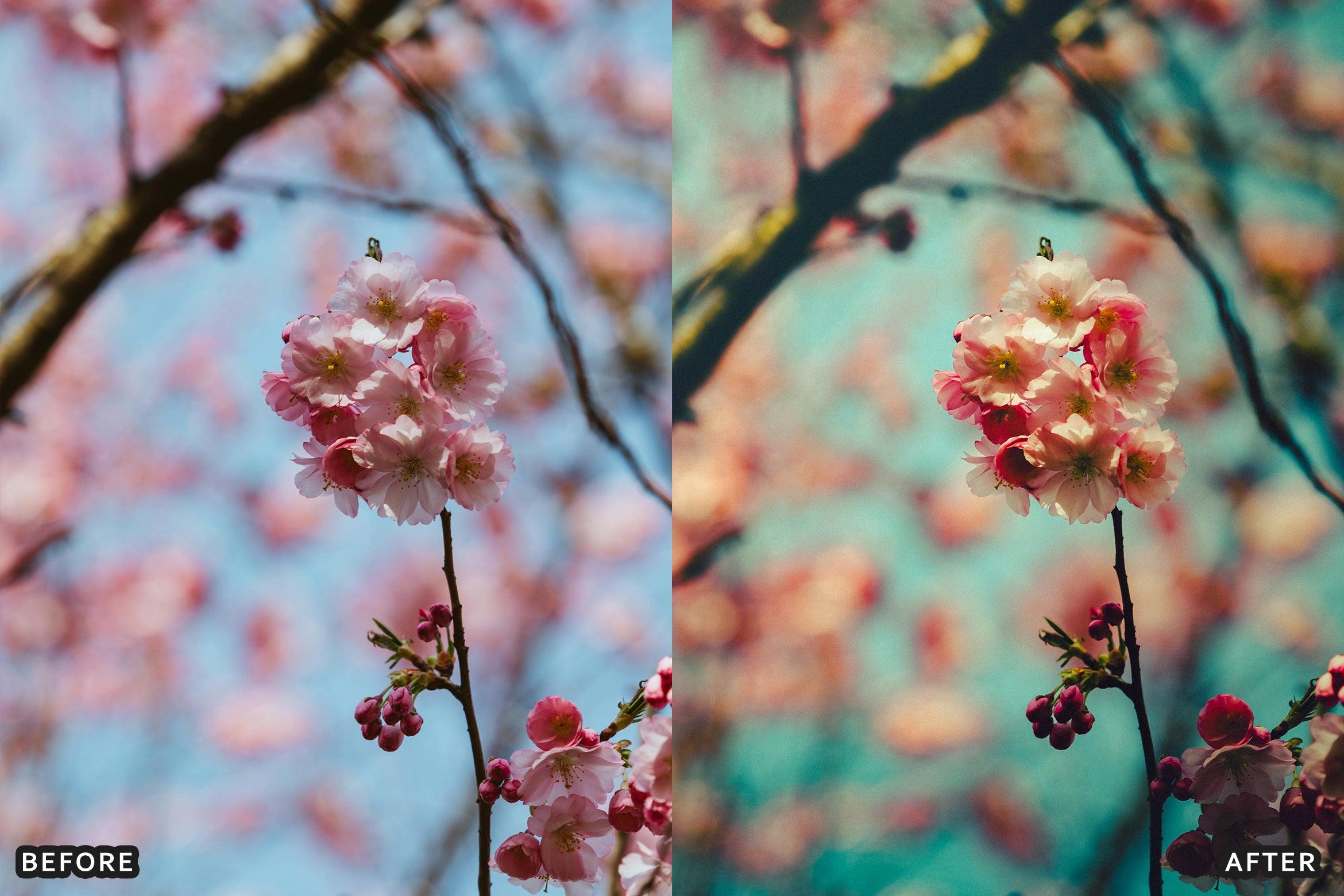 AI-Optimized Cherry Blossom Tones Lightroom Presets - Lightroom Presets - by AAA Presets