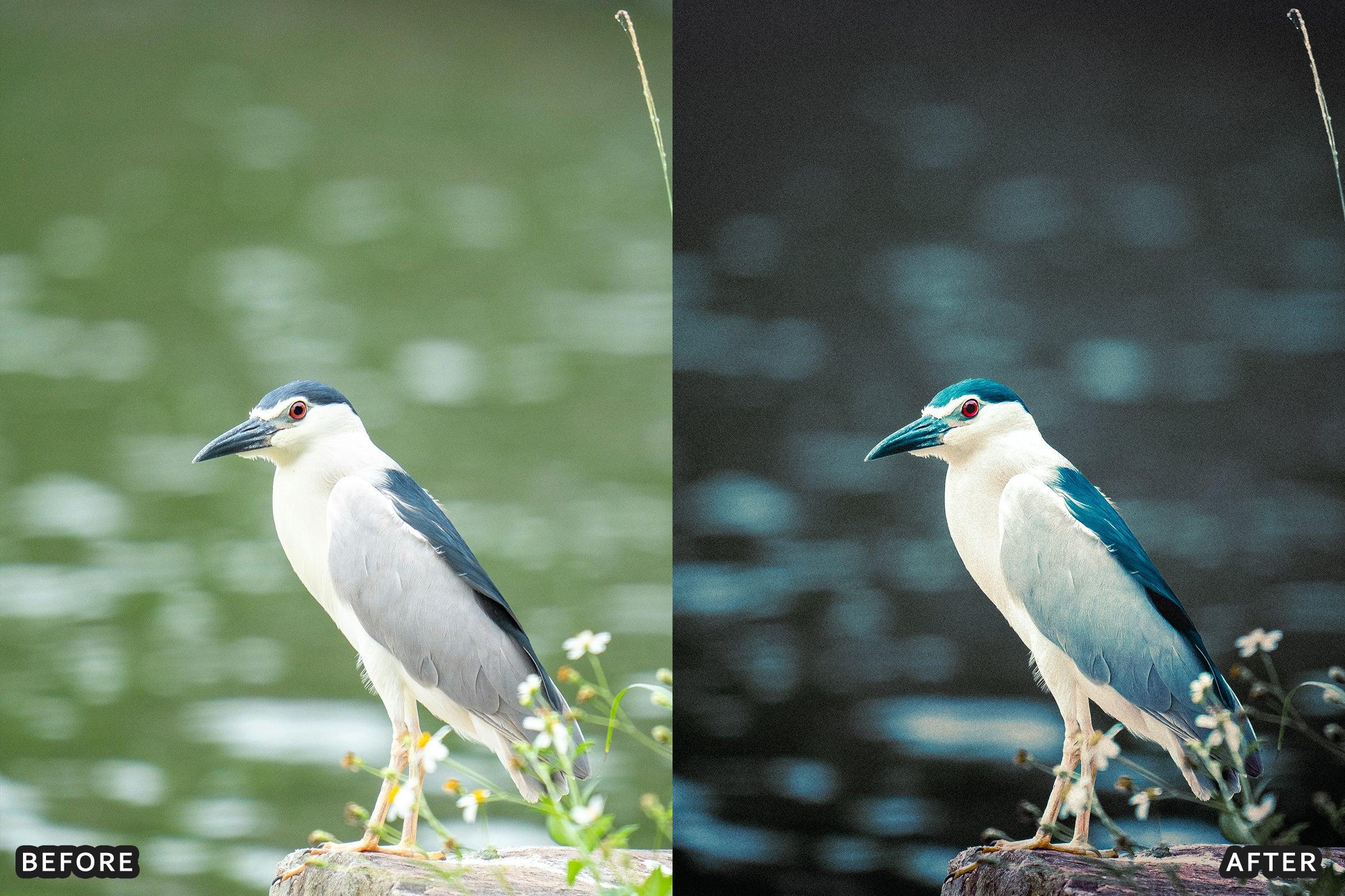 AI-Optimized Cinematic Bird Wildlife Lightroom Presets - Lightroom Presets - by AAA Presets