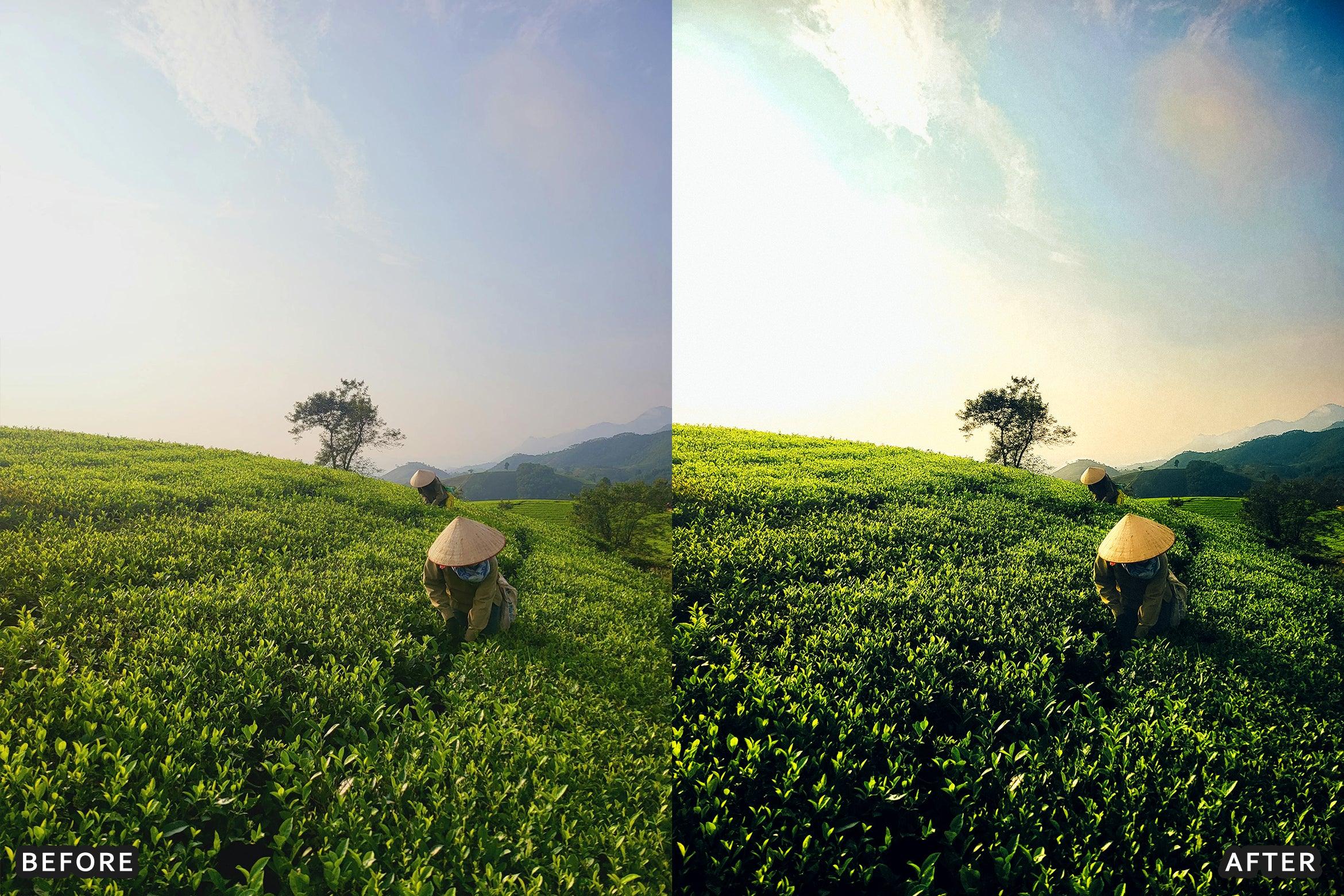 AI-Optimized Cinematic Film Landscape Lightroom Presets - Lightroom Presets - by AAA Presets