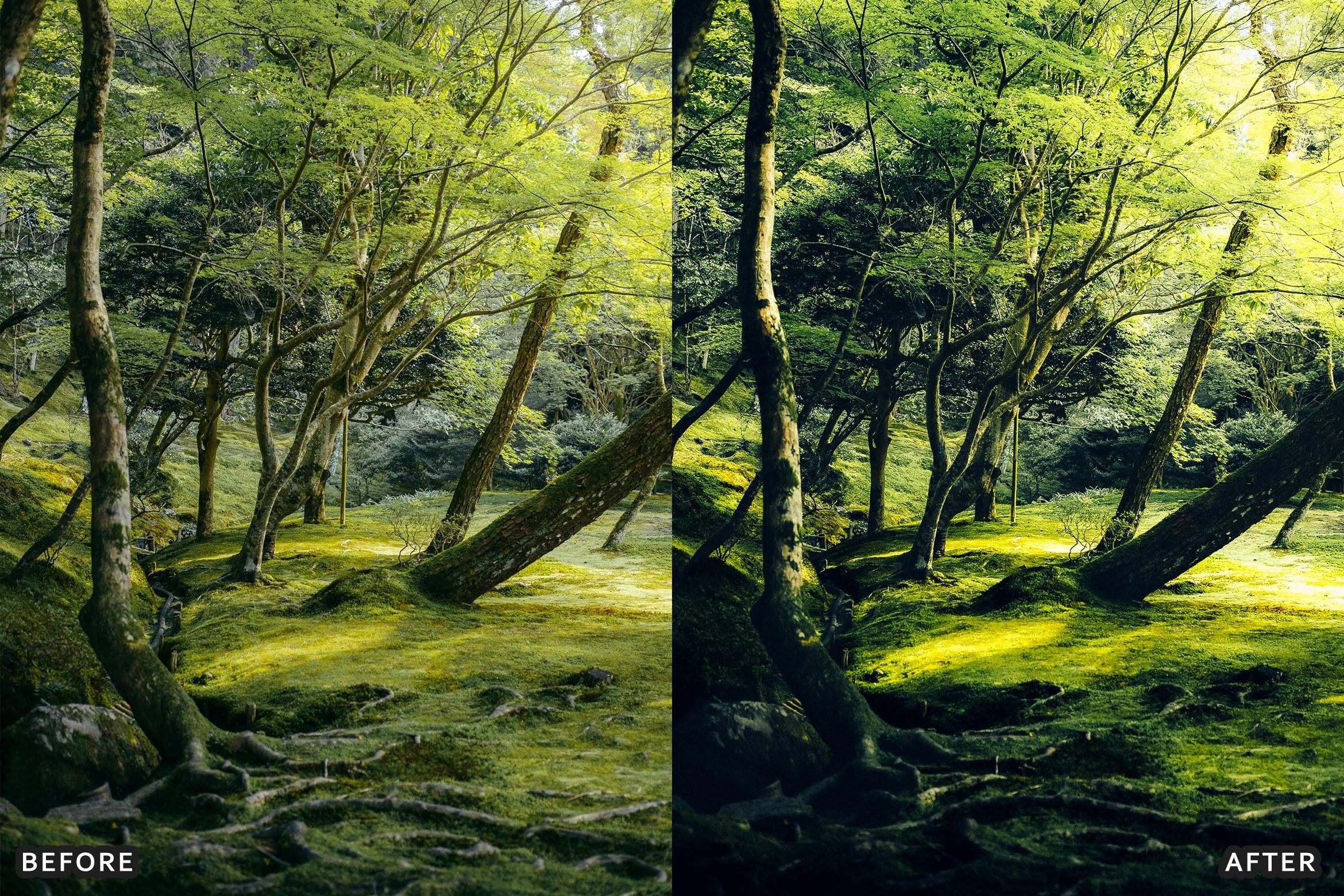 AI-Optimized Cinematic Film Landscape Lightroom Presets - Lightroom Presets - by AAA Presets