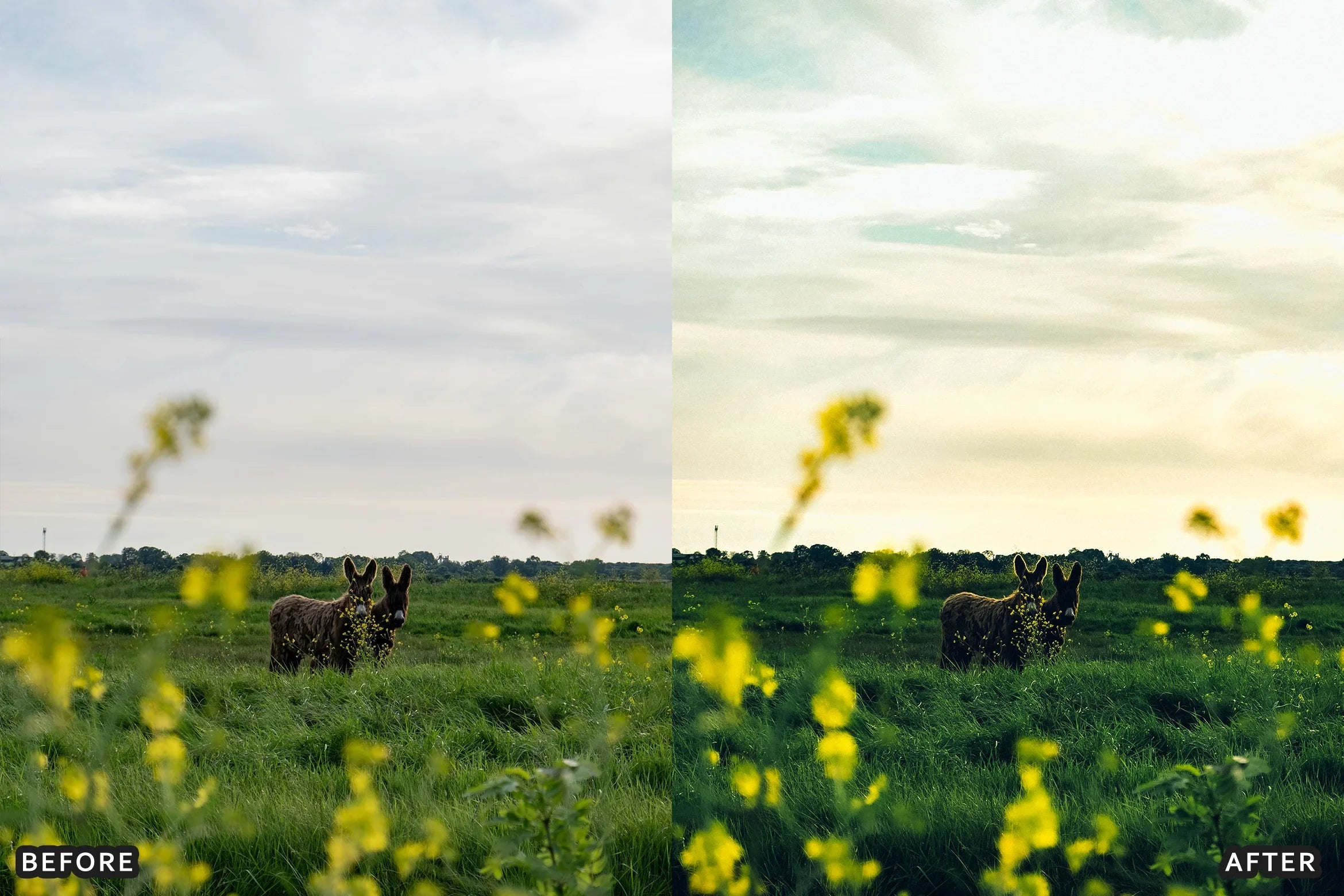 AI-Optimized Cinematic Film Landscape Lightroom Presets - Lightroom Presets - by AAA Presets