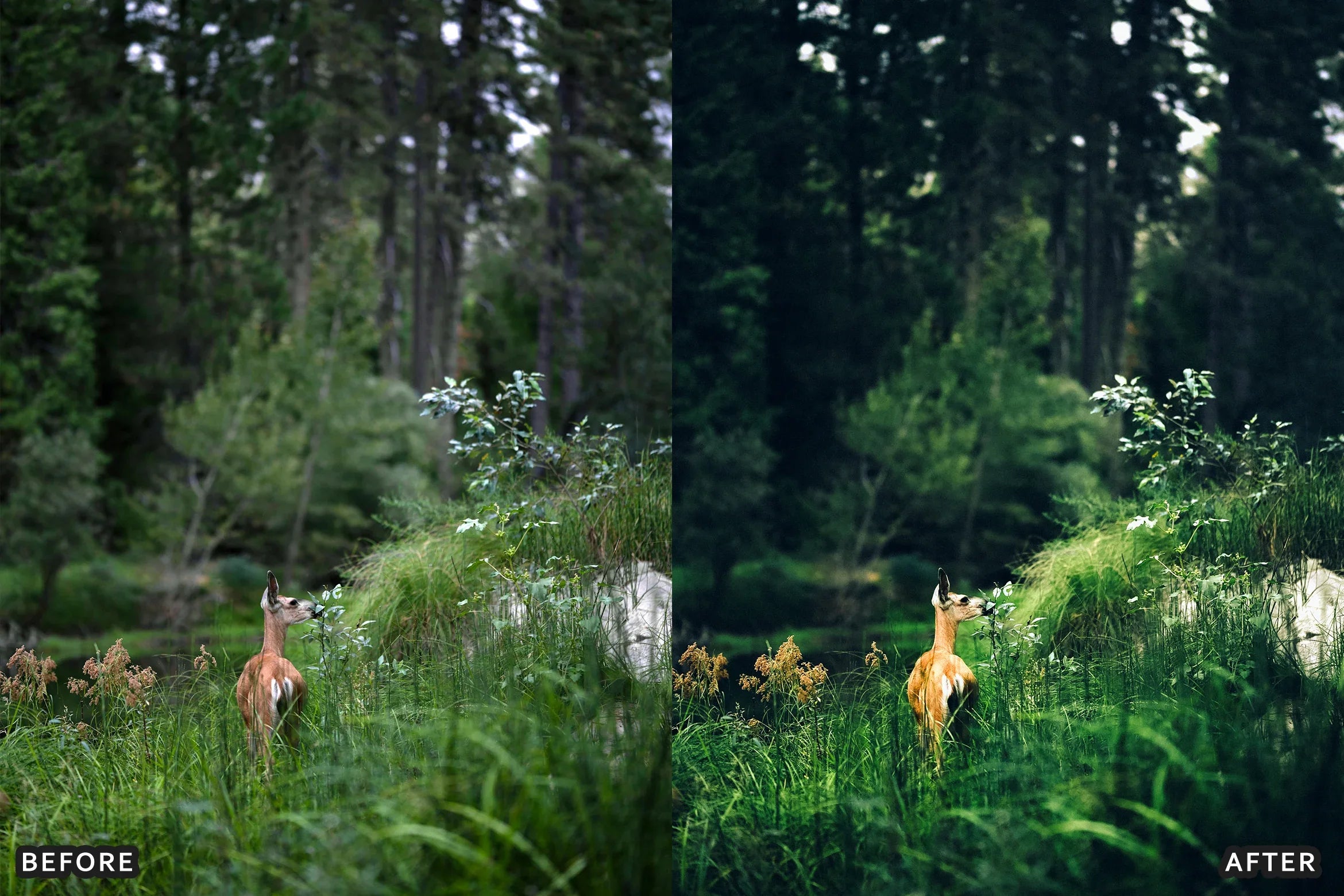 AI-Optimized Cinematic Film Landscape Lightroom Presets - Lightroom Presets - by AAA Presets