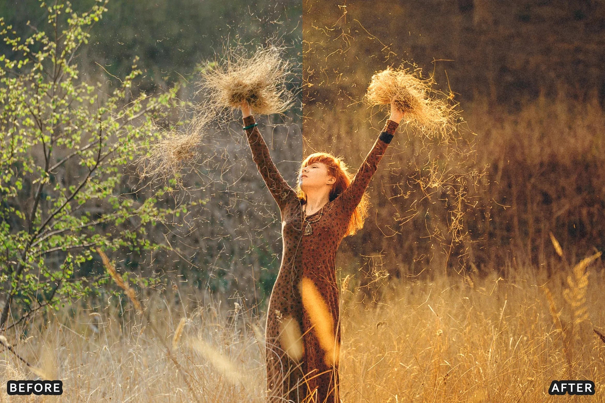 AI-Optimized Cinematic Golden Hour Lightroom Presets - Lightroom Presets - by AAA Presets