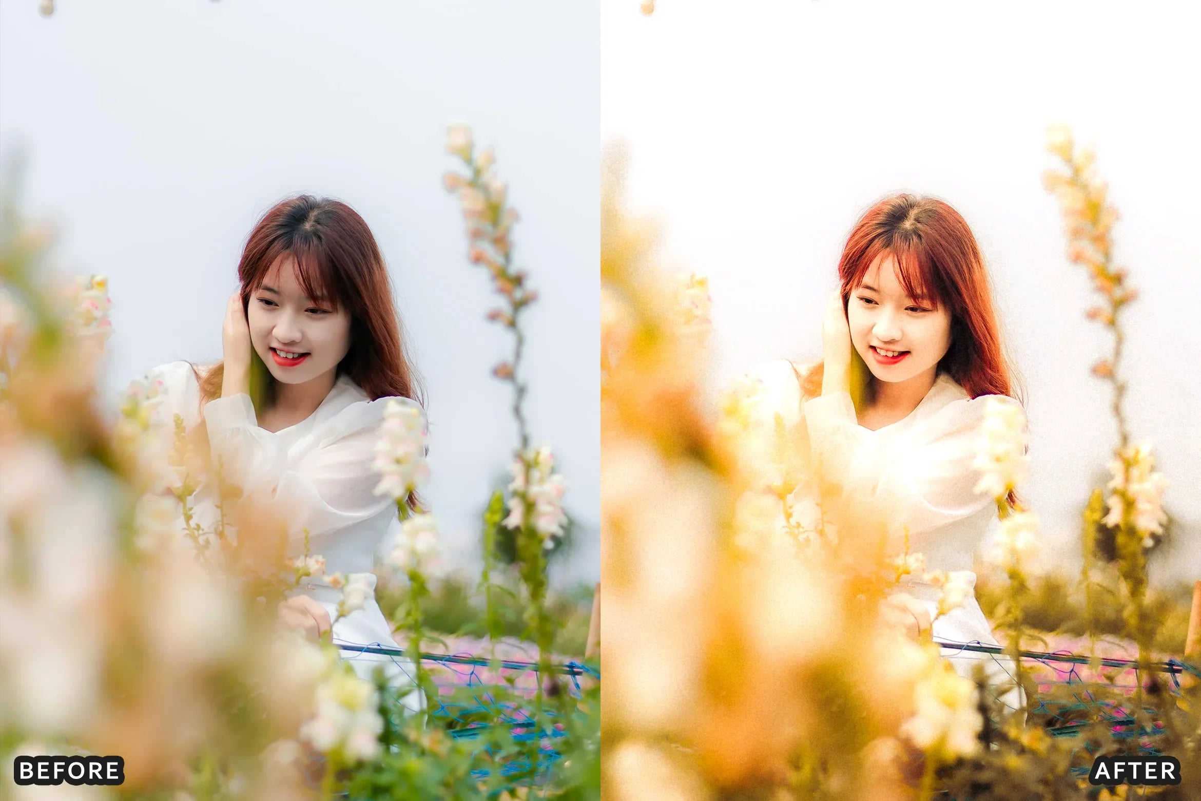 AI-Optimized Cinematic Golden Hour Lightroom Presets - Lightroom Presets - by AAA Presets