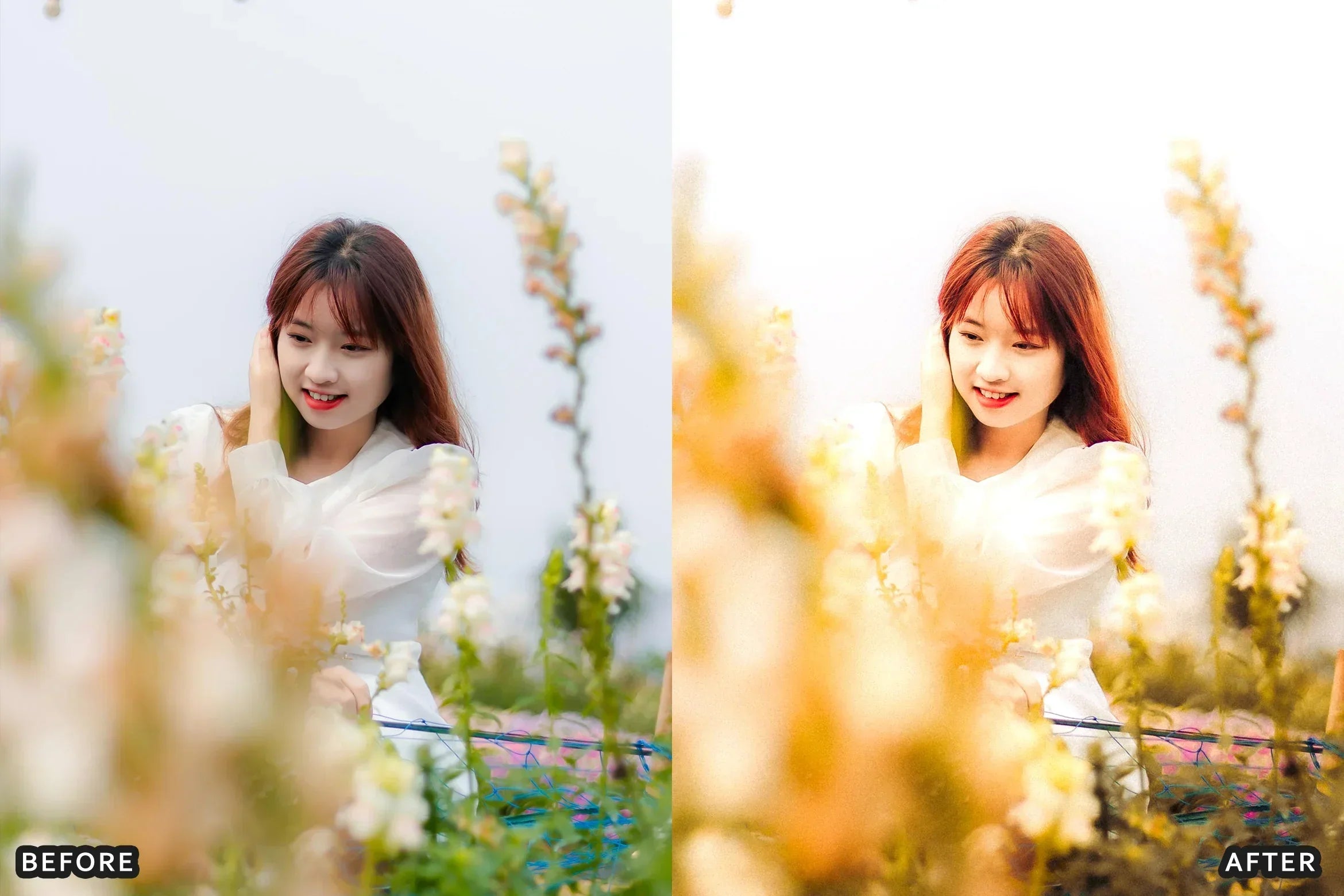 AI-Optimized Cinematic Golden Hour Lightroom Presets - Lightroom Presets - by AAA Presets