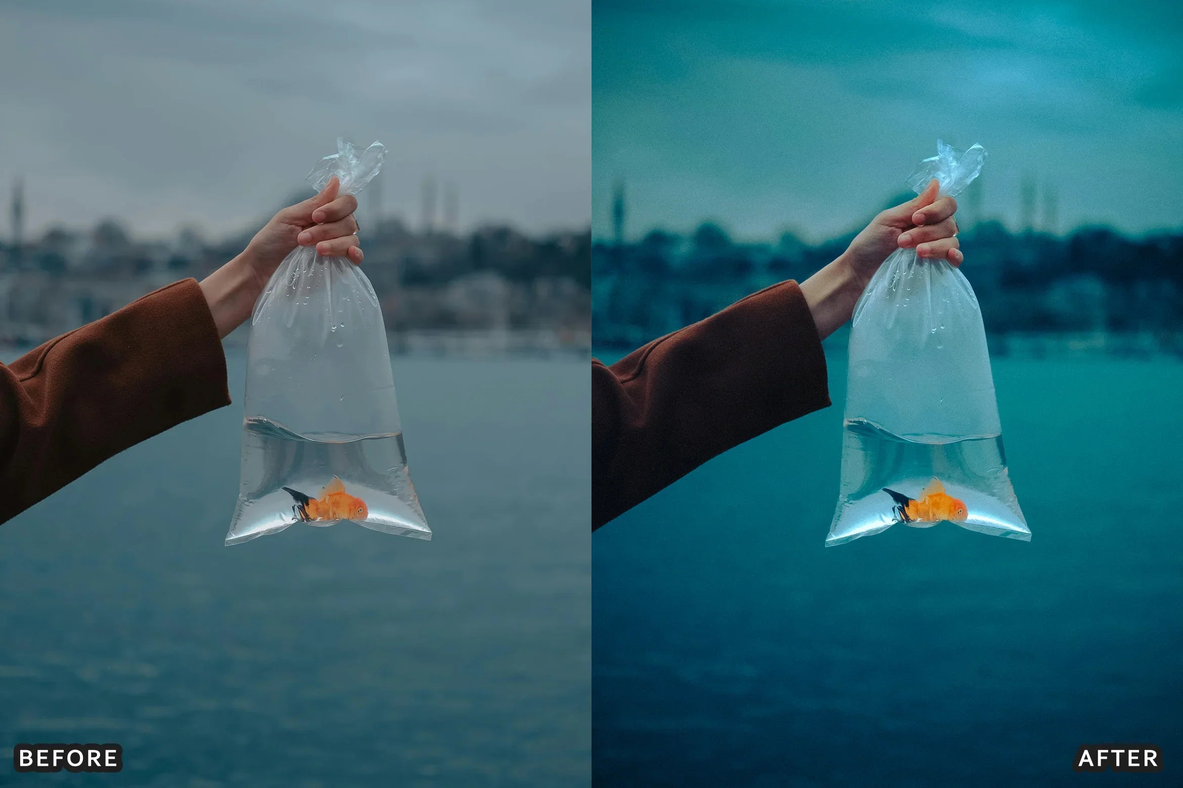 AI-Optimized Cinematic Photo Shoot Lightroom Presets - Lightroom Presets - by AAA Presets