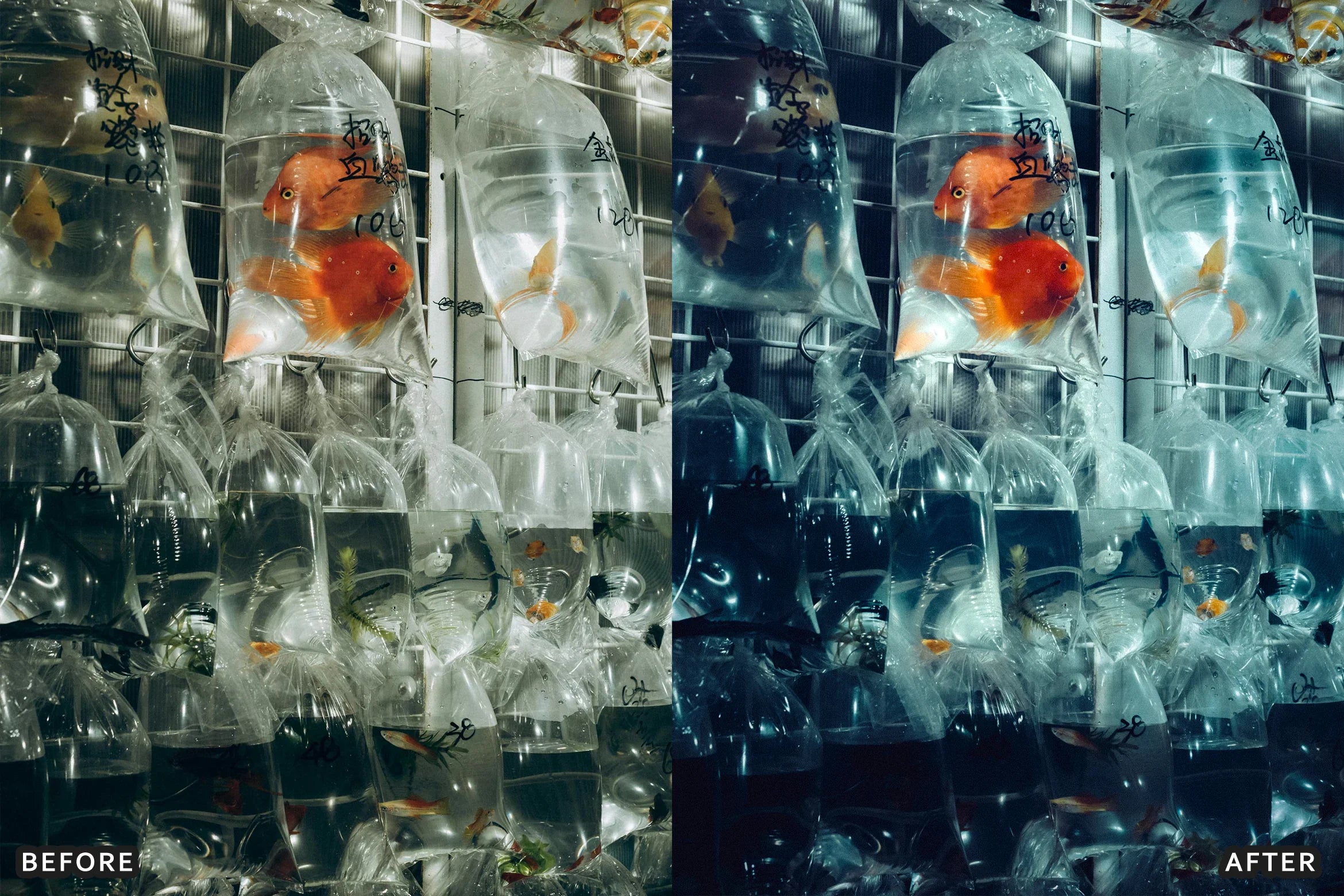 AI-Optimized Cinematic Photo Shoot Lightroom Presets - Lightroom Presets - by AAA Presets