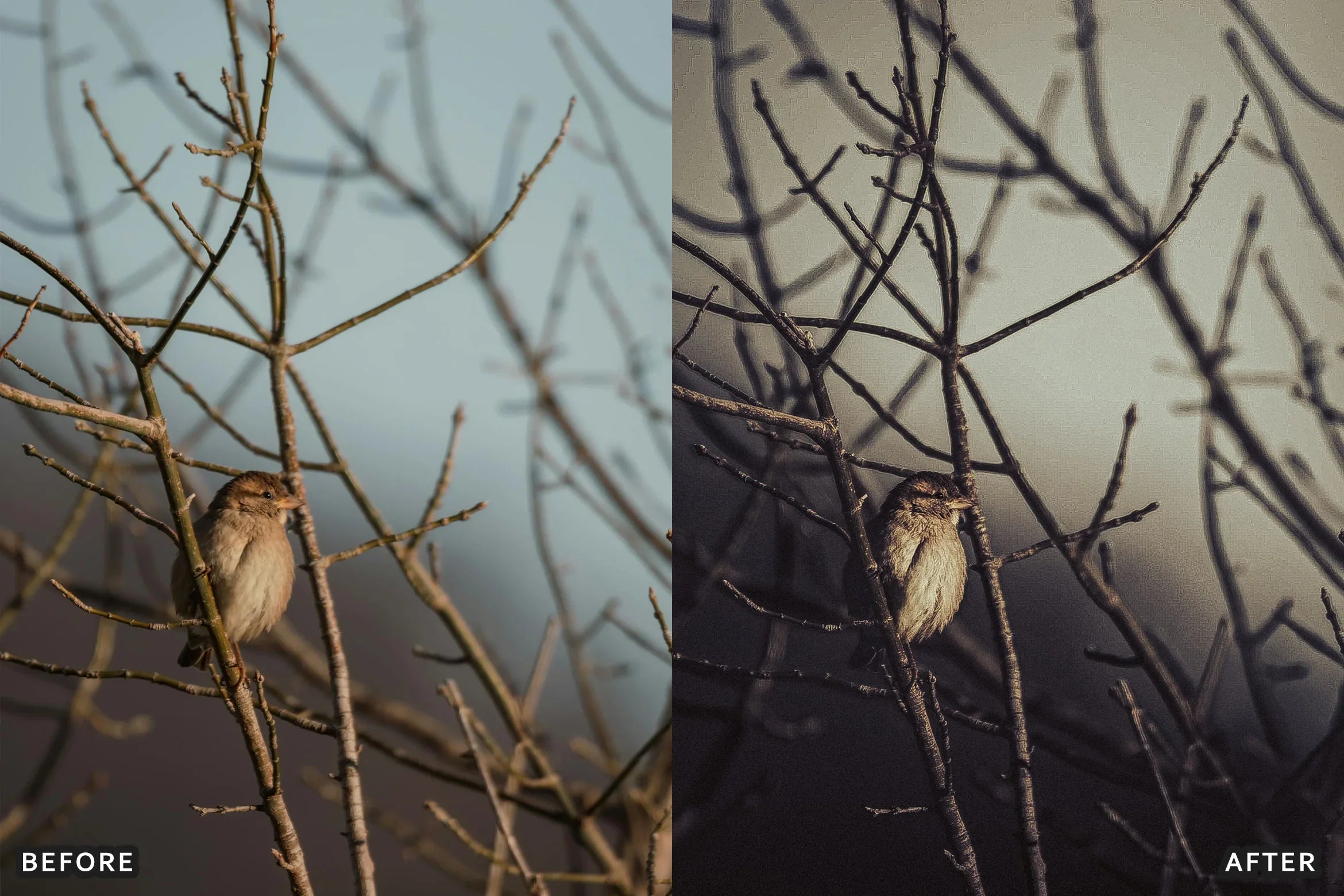 AI-Optimized Cinematic Vintage Lightroom Presets - Lightroom Presets - by AAA Presets