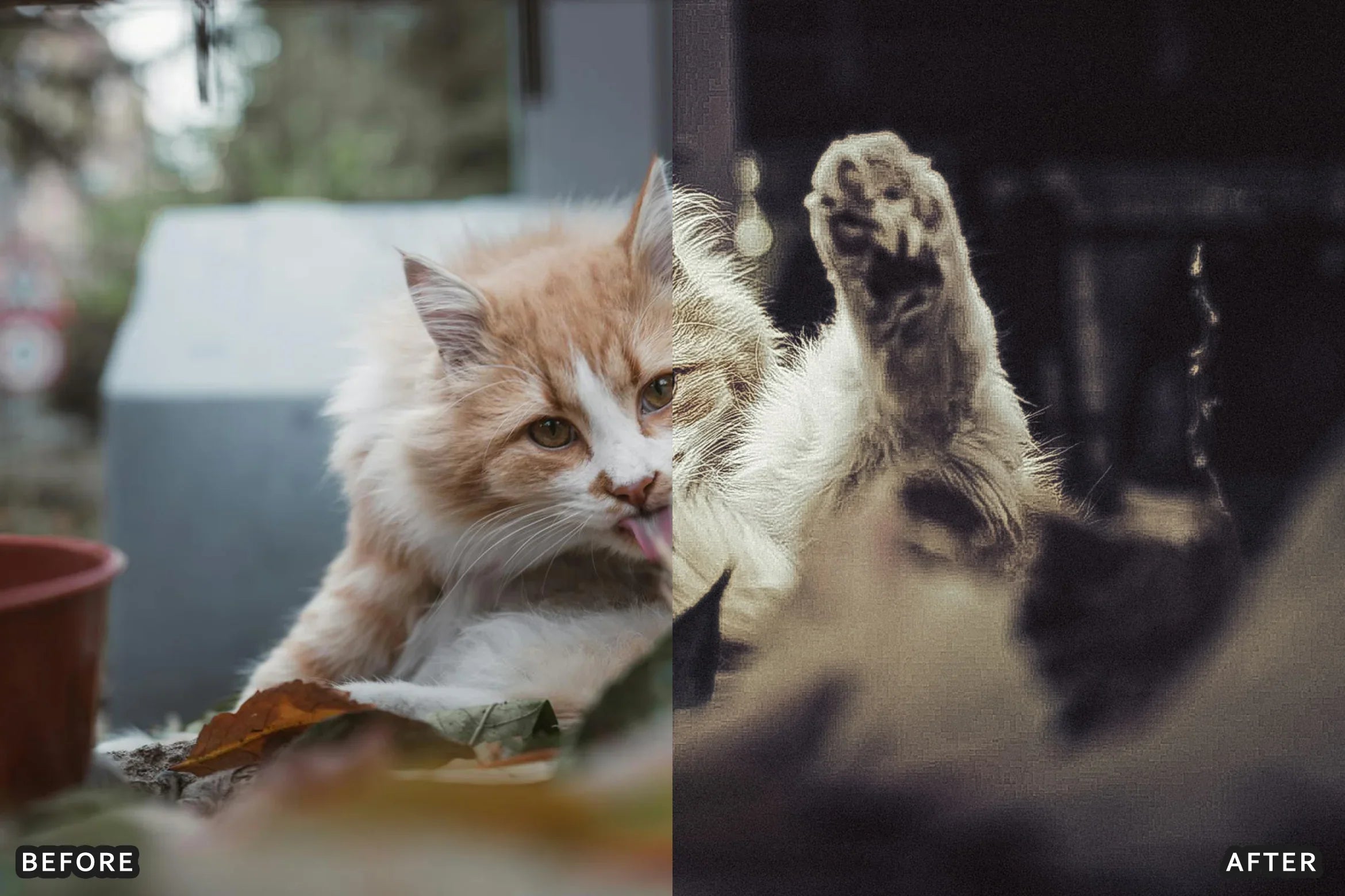 AI-Optimized Cinematic Vintage Lightroom Presets - Lightroom Presets - by AAA Presets