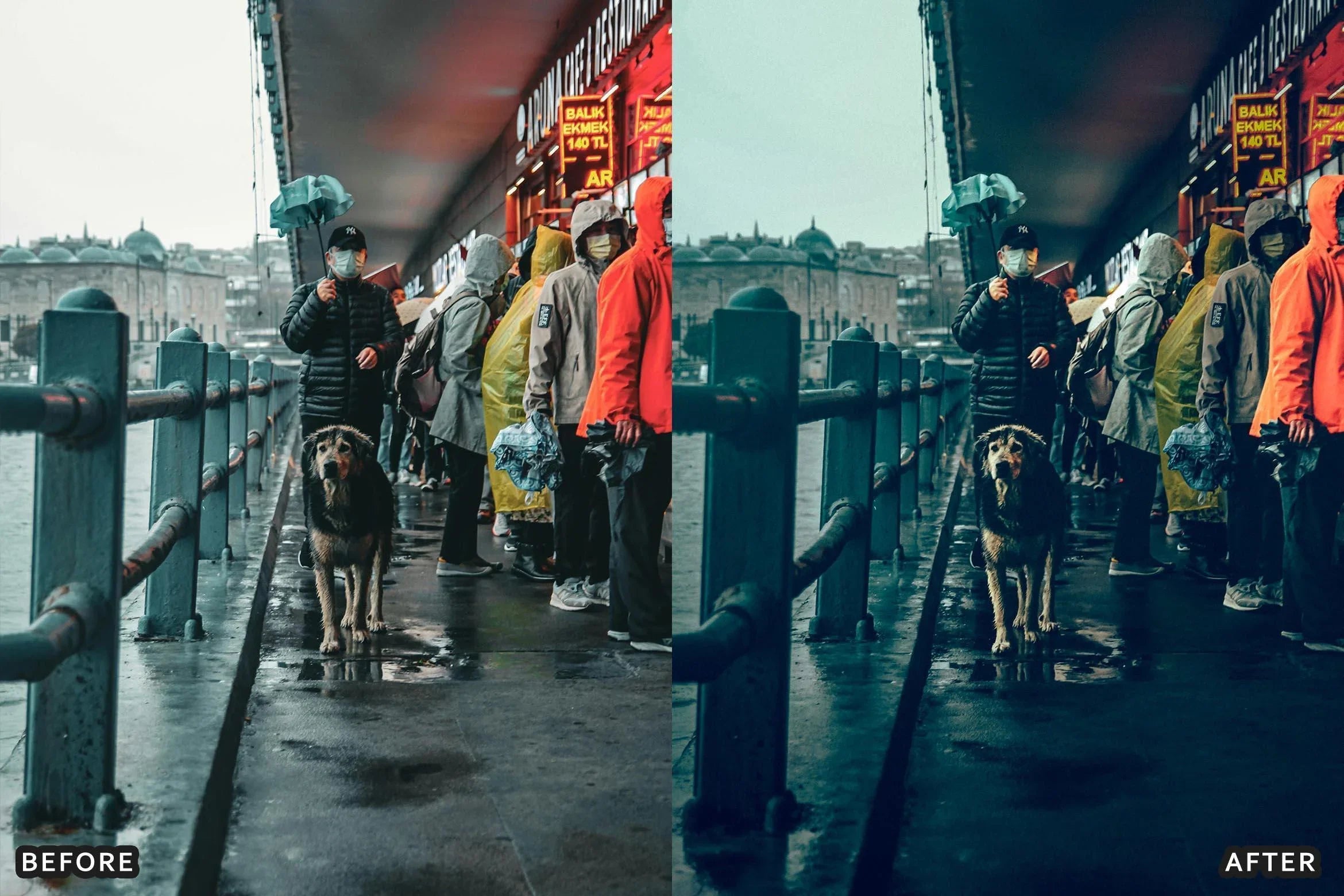 AI-Optimized Cinematic Winter Lightroom Presets - Lightroom Presets - by AAA Presets