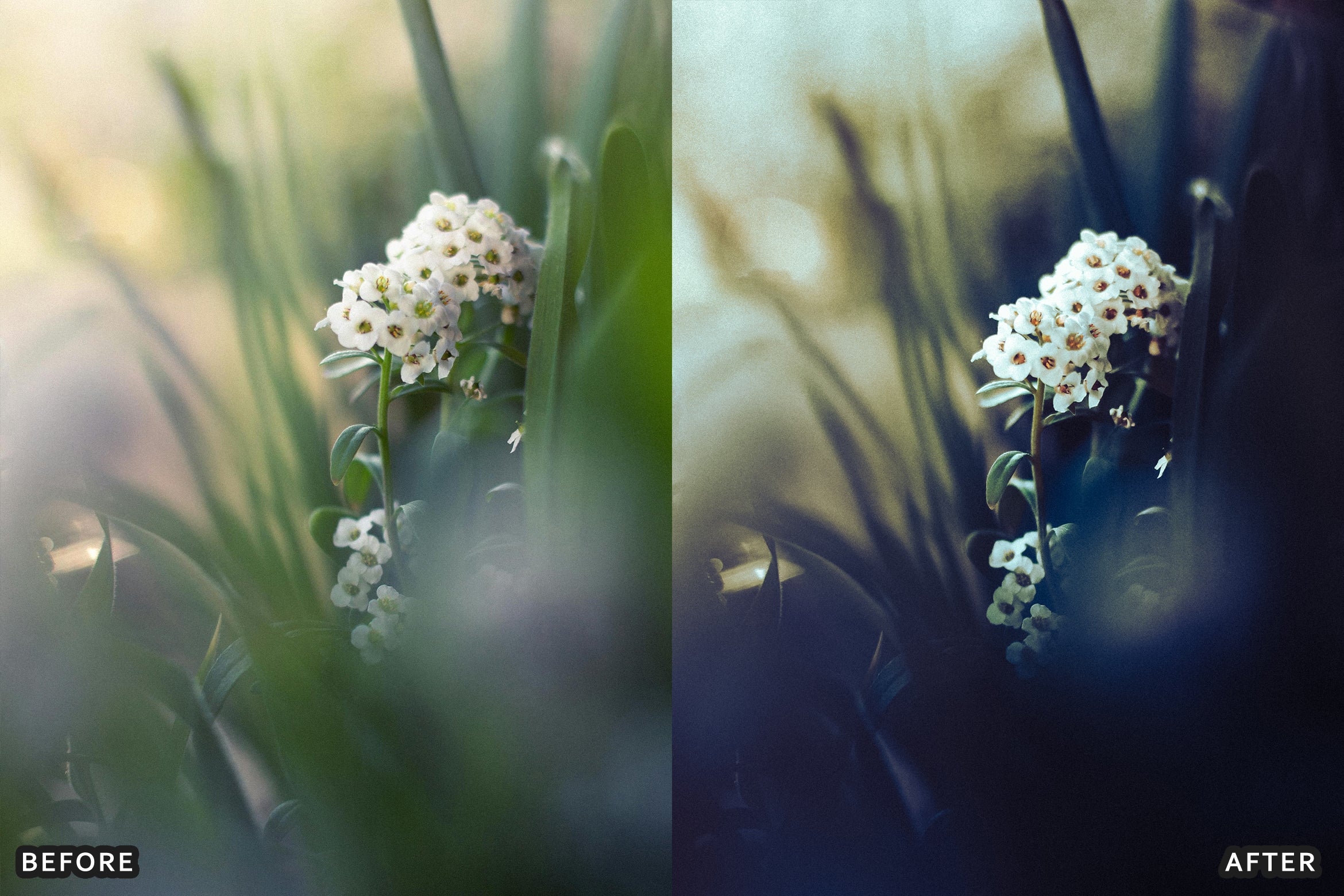 AI-Optimized Dark Green Lightroom Presets - Lightroom Presets - by AAA Presets