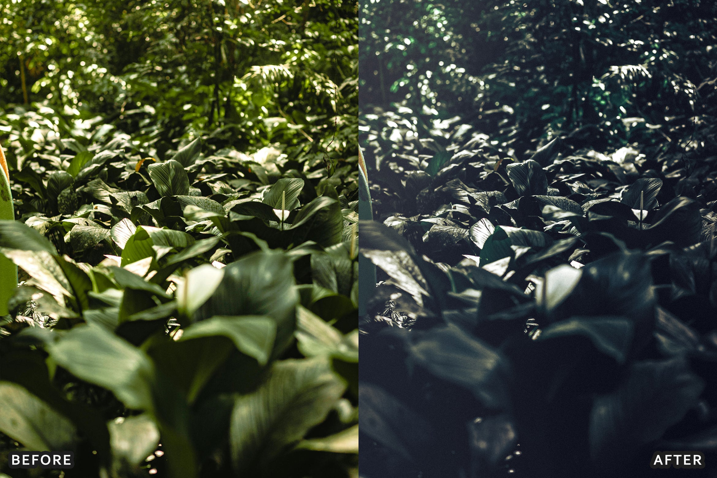 AI-Optimized Dark Green Lightroom Presets - Lightroom Presets - by AAA Presets