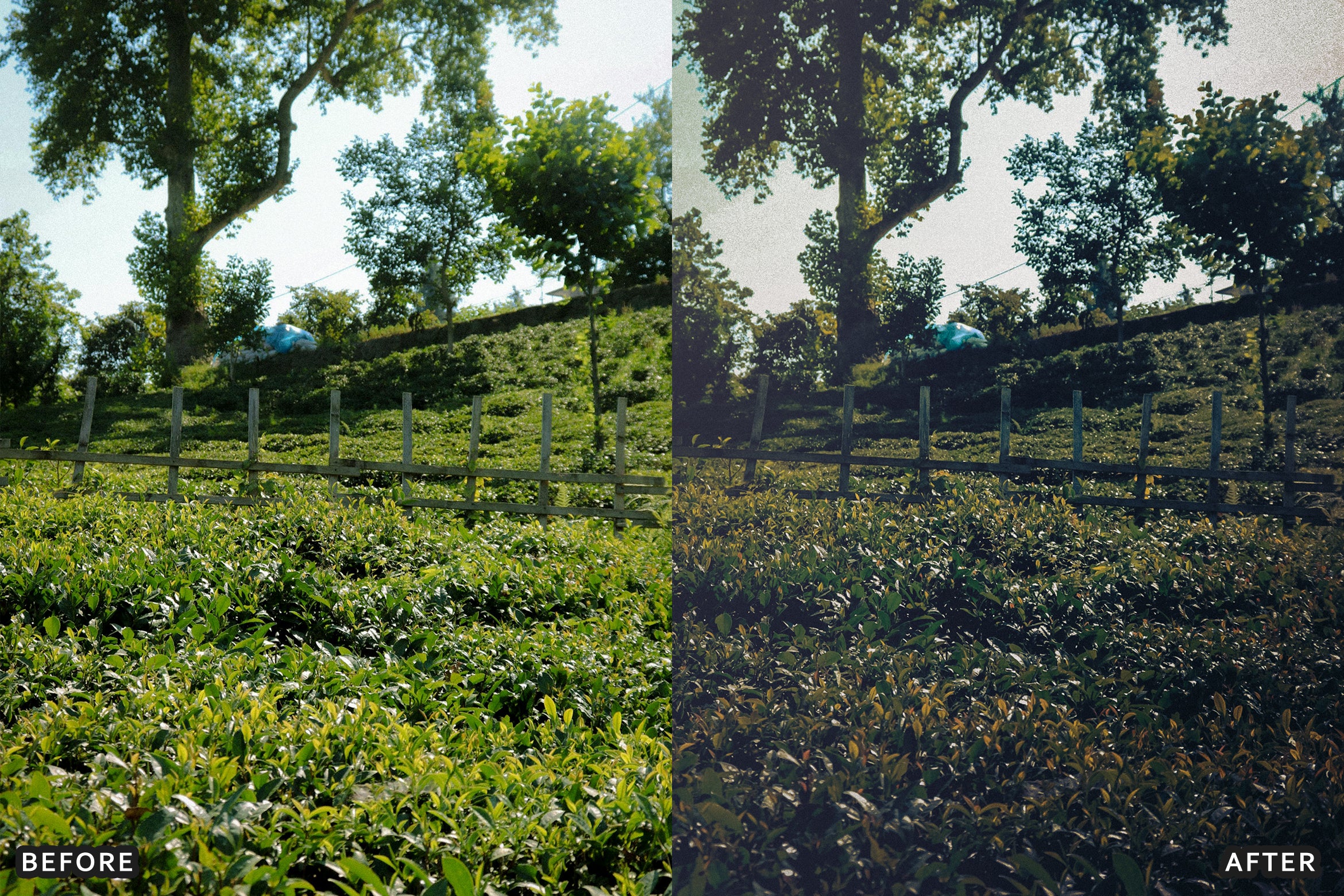 AI-Optimized Dark Green Lightroom Presets - Lightroom Presets - by AAA Presets