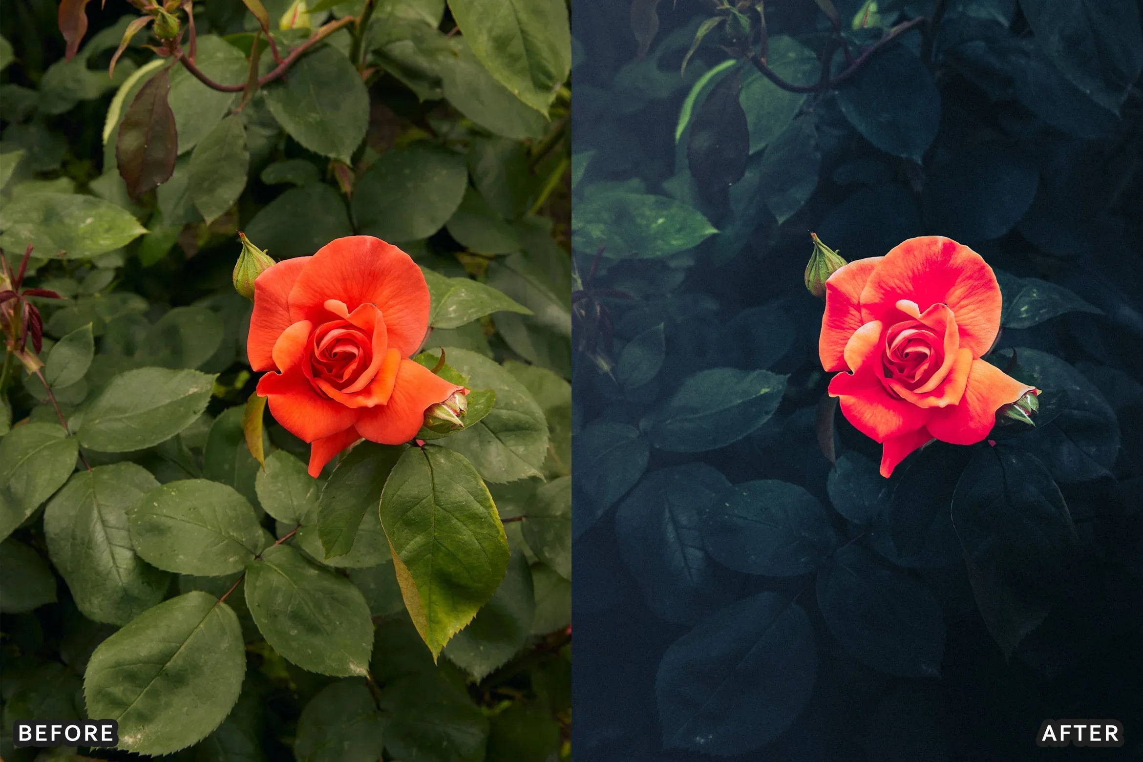 AI-Optimized Dark Green Lightroom Presets - Lightroom Presets - by AAA Presets