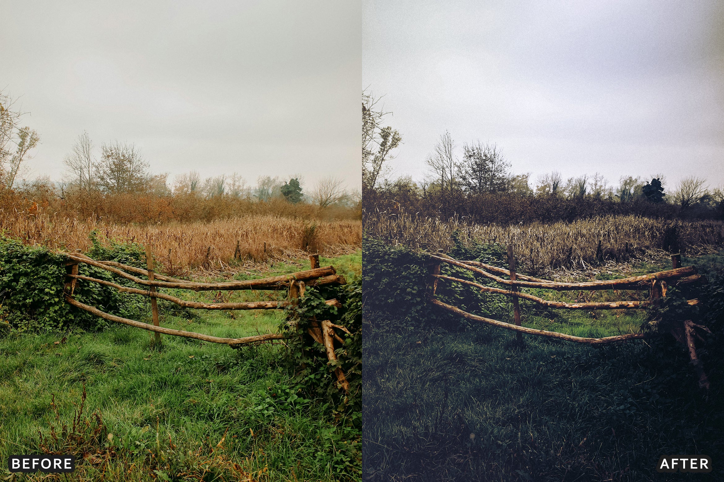 AI-Optimized Dark Green Lightroom Presets - Lightroom Presets - by AAA Presets