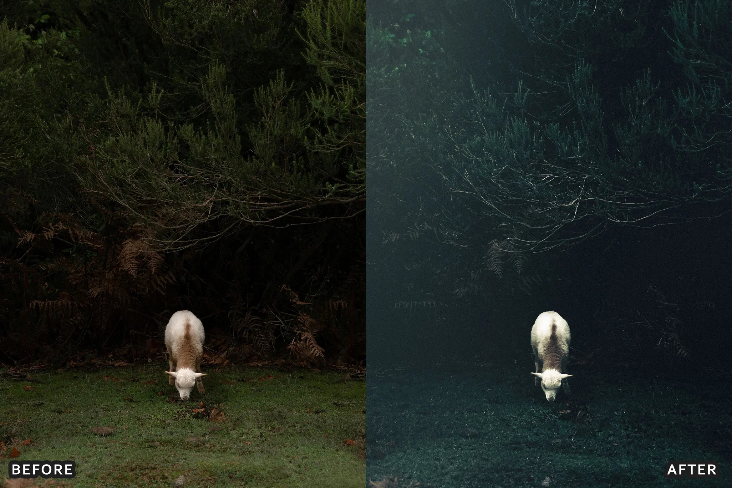 AI-Optimized Dark Green Lightroom Presets - Lightroom Presets - by AAA Presets