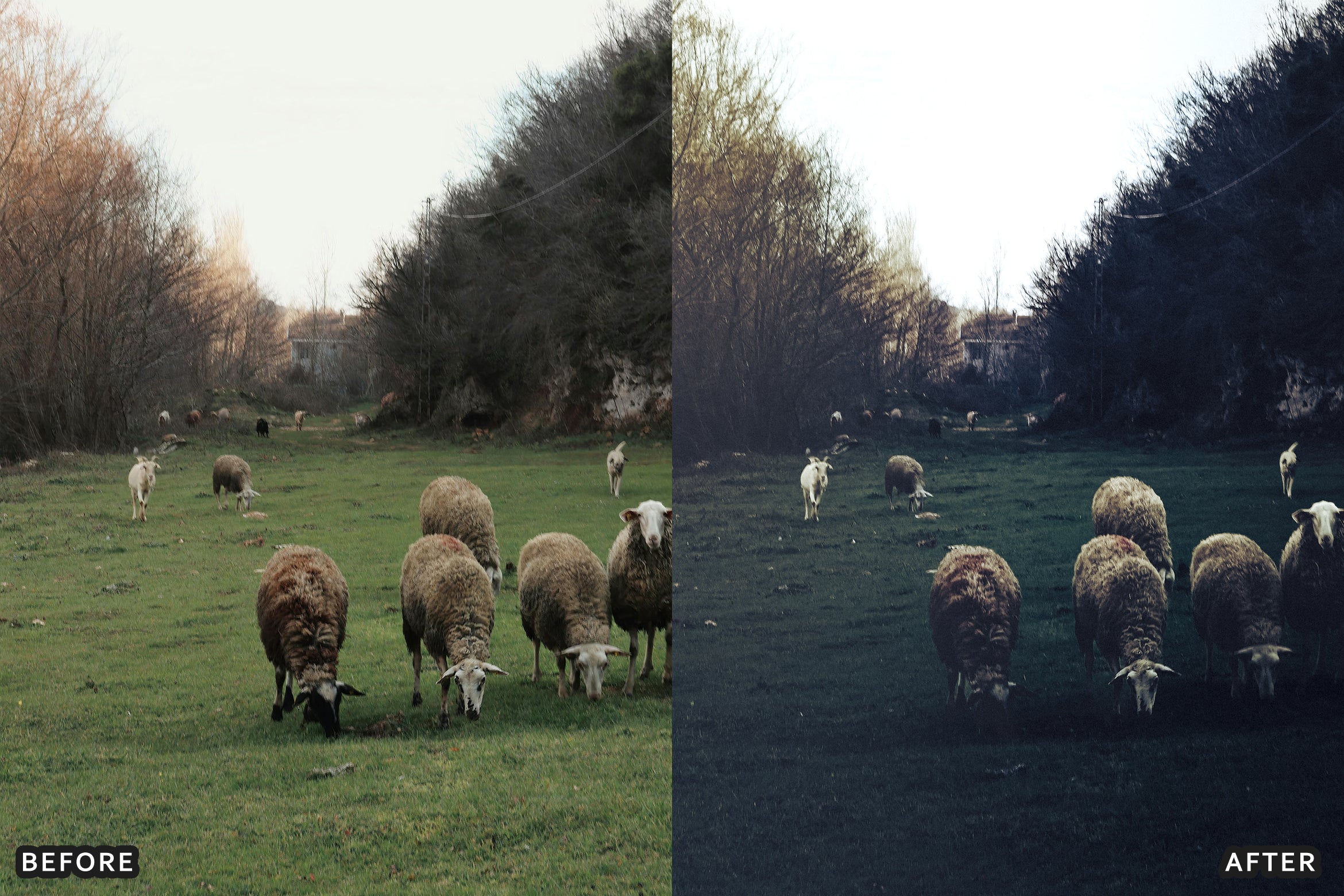 AI-Optimized Dark Green Lightroom Presets - Lightroom Presets - by AAA Presets