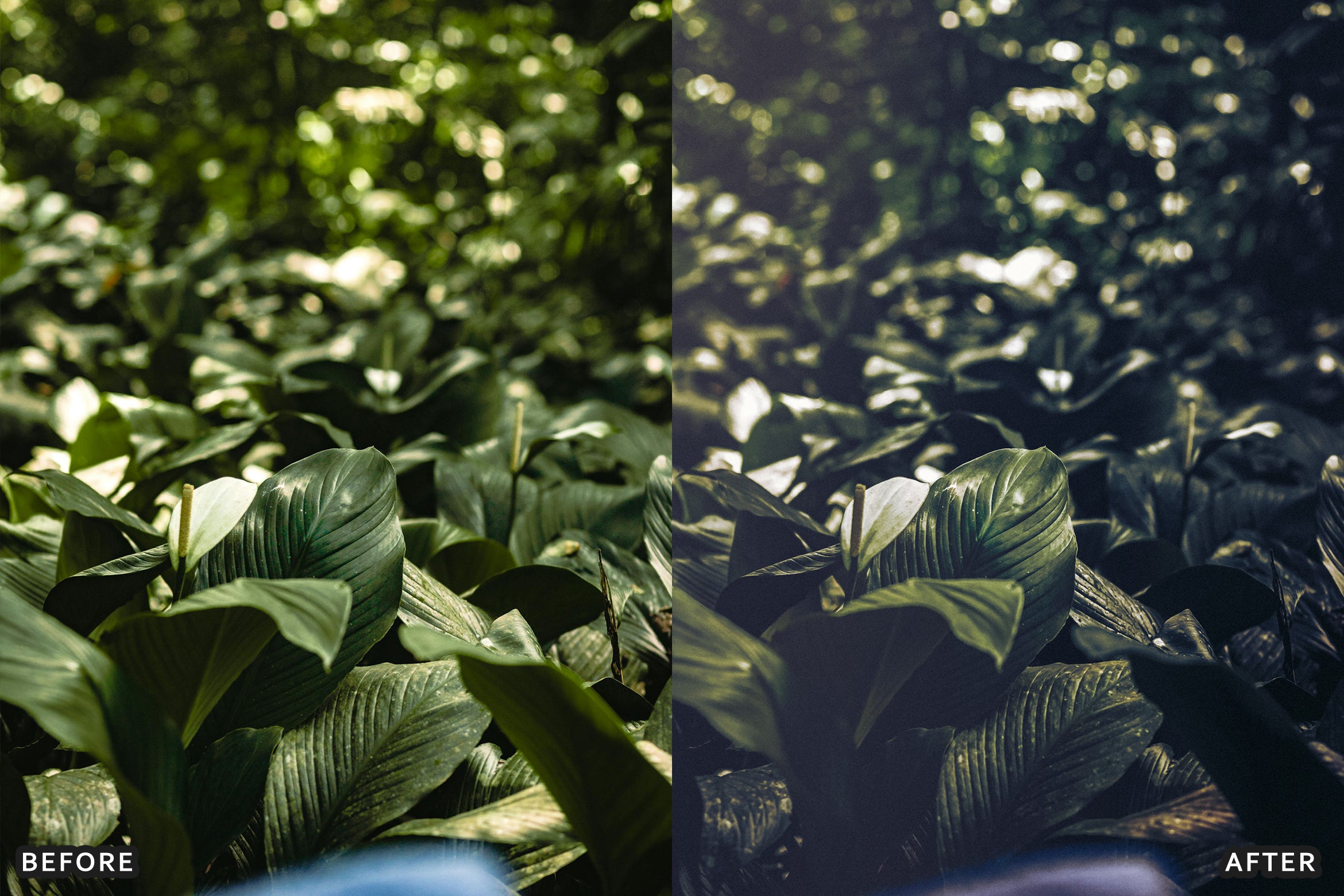 AI-Optimized Dark Green Lightroom Presets - Lightroom Presets - by AAA Presets