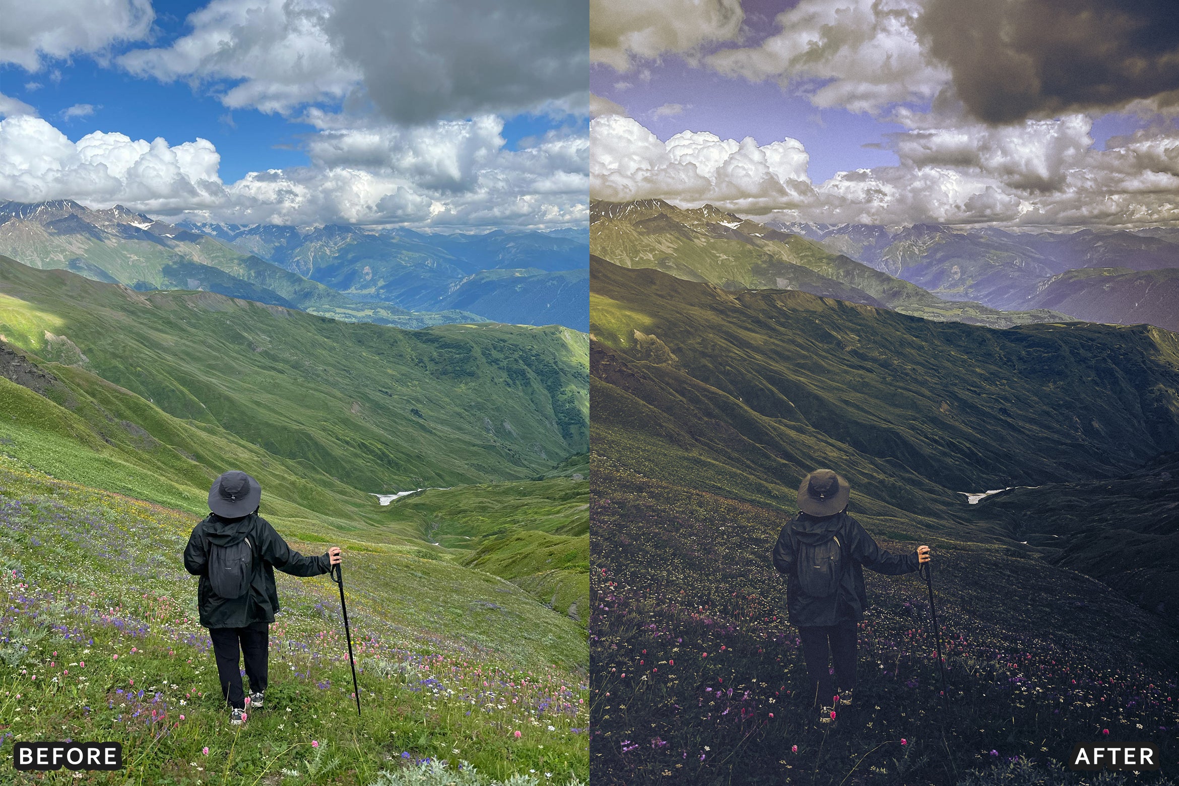 AI-Optimized Dark Green Lightroom Presets - Lightroom Presets - by AAA Presets