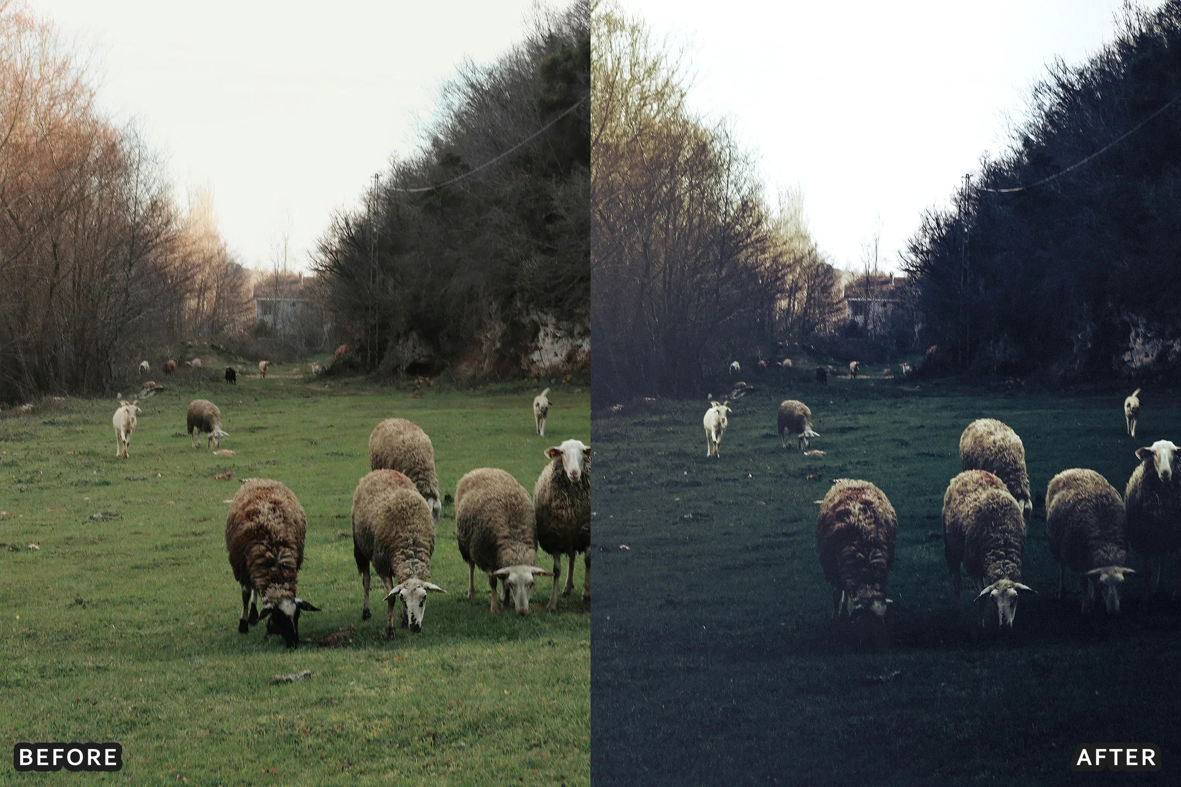 AI-Optimized Dark Green Lightroom Presets - Lightroom Presets - by AAA Presets