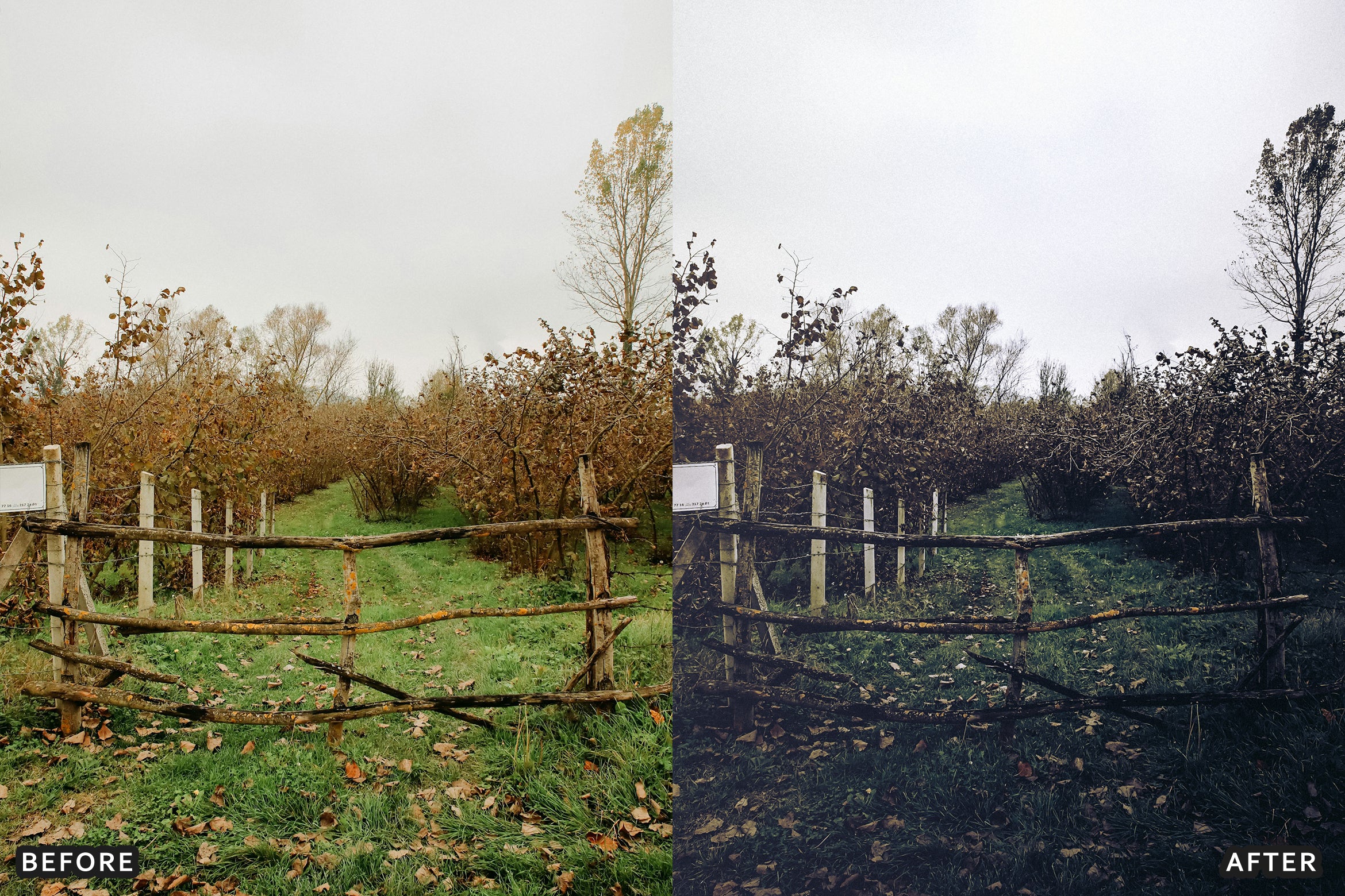 AI-Optimized Dark Green Lightroom Presets - Lightroom Presets - by AAA Presets