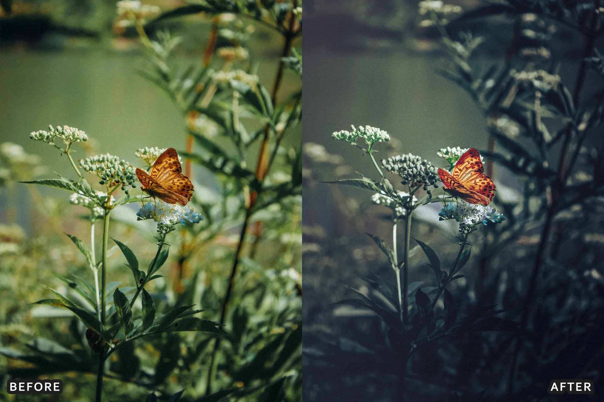 AI-Optimized Dark Green Lightroom Presets - Lightroom Presets - by AAA Presets