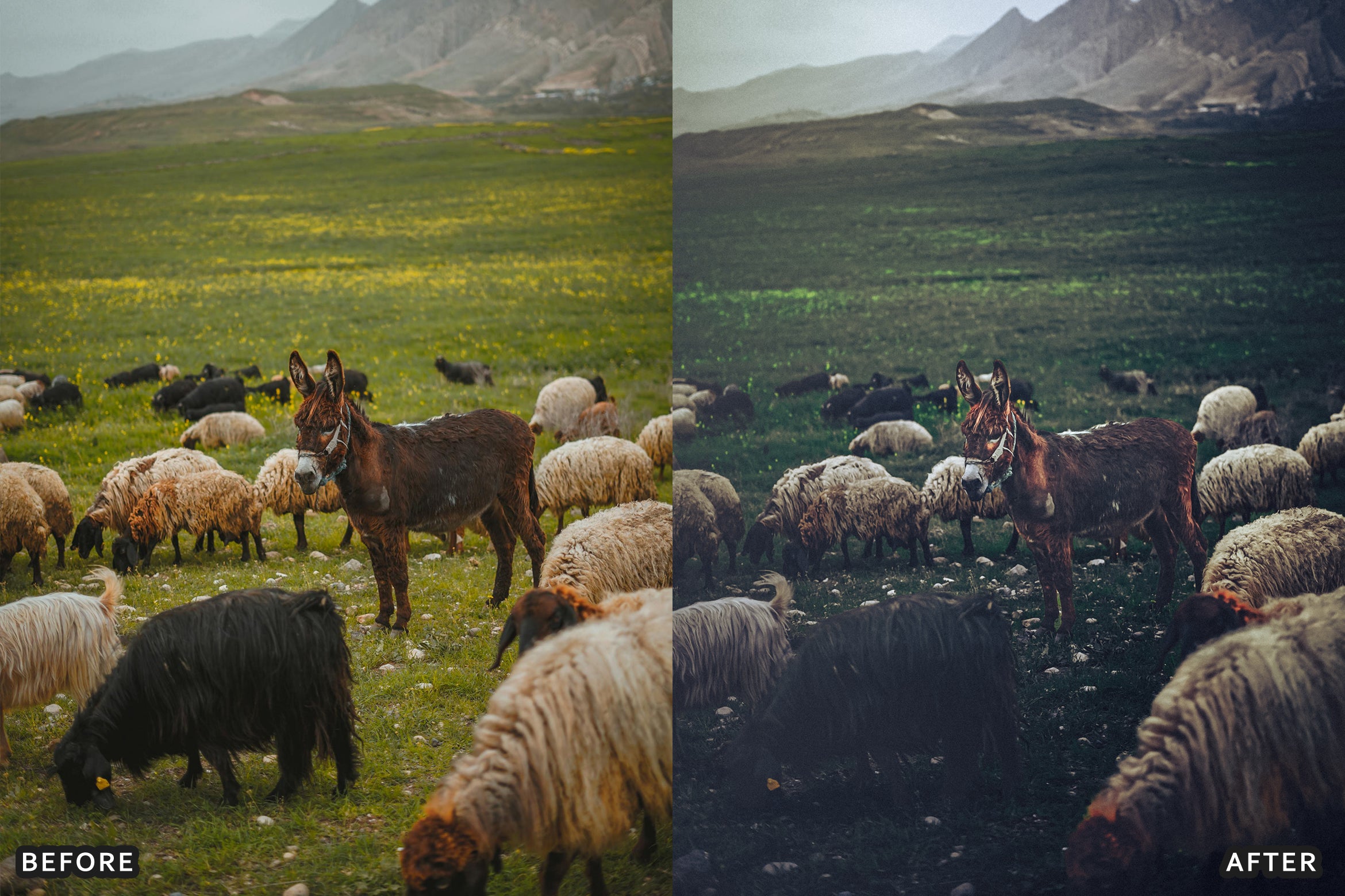 AI-Optimized Dark Green Lightroom Presets - Lightroom Presets - by AAA Presets