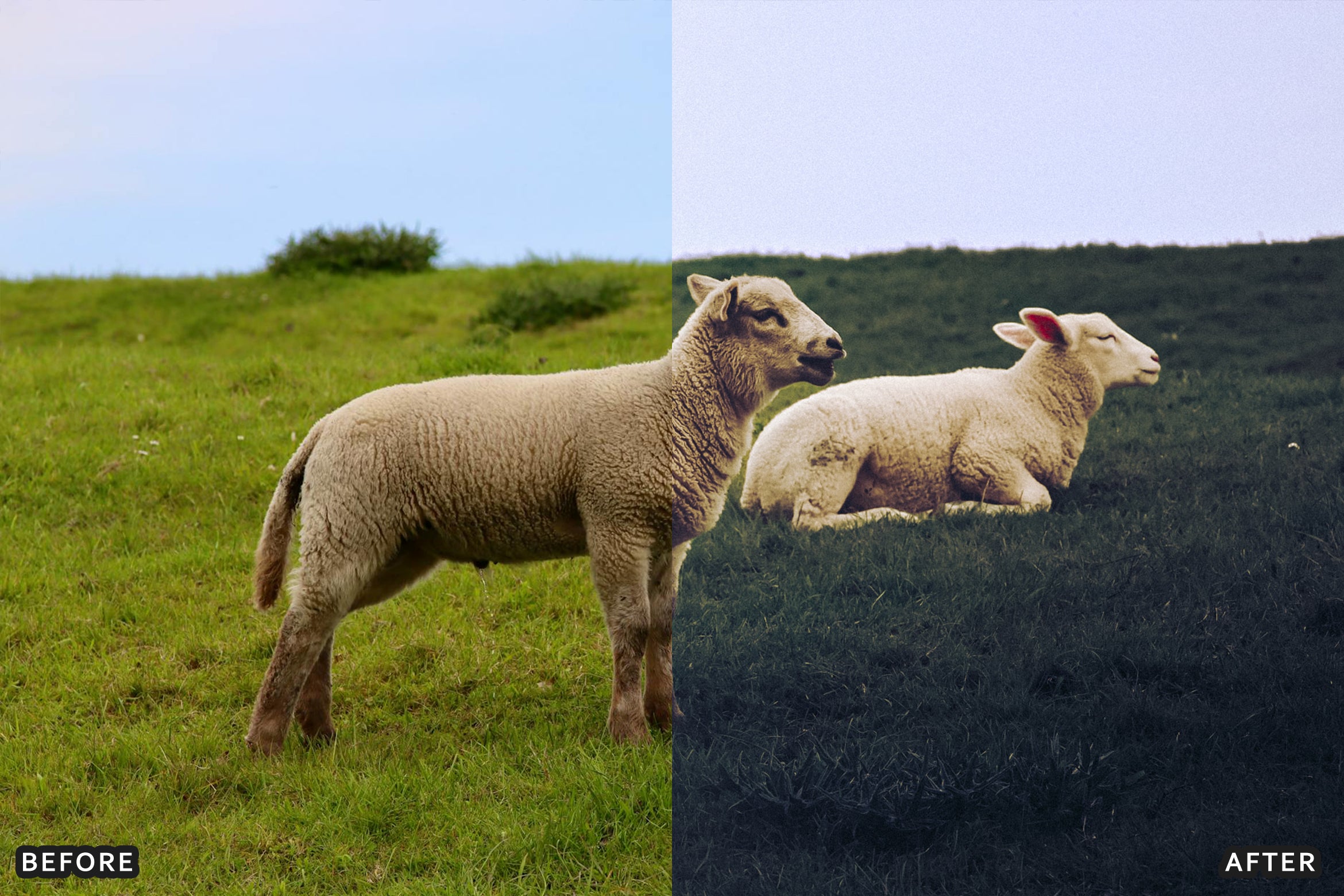 AI-Optimized Dark Green Lightroom Presets - Lightroom Presets - by AAA Presets