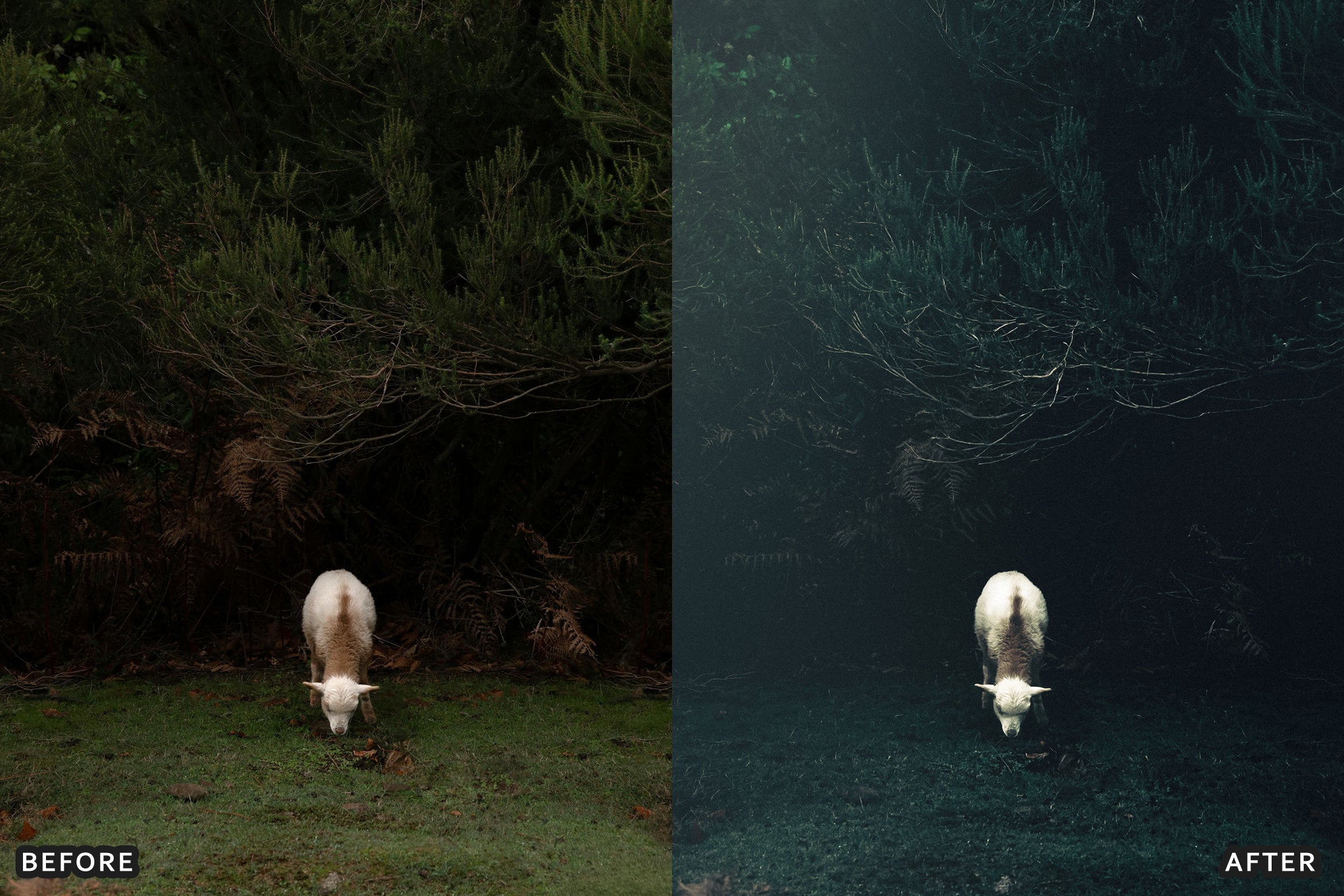 AI-Optimized Dark Green Lightroom Presets - Lightroom Presets - by AAA Presets