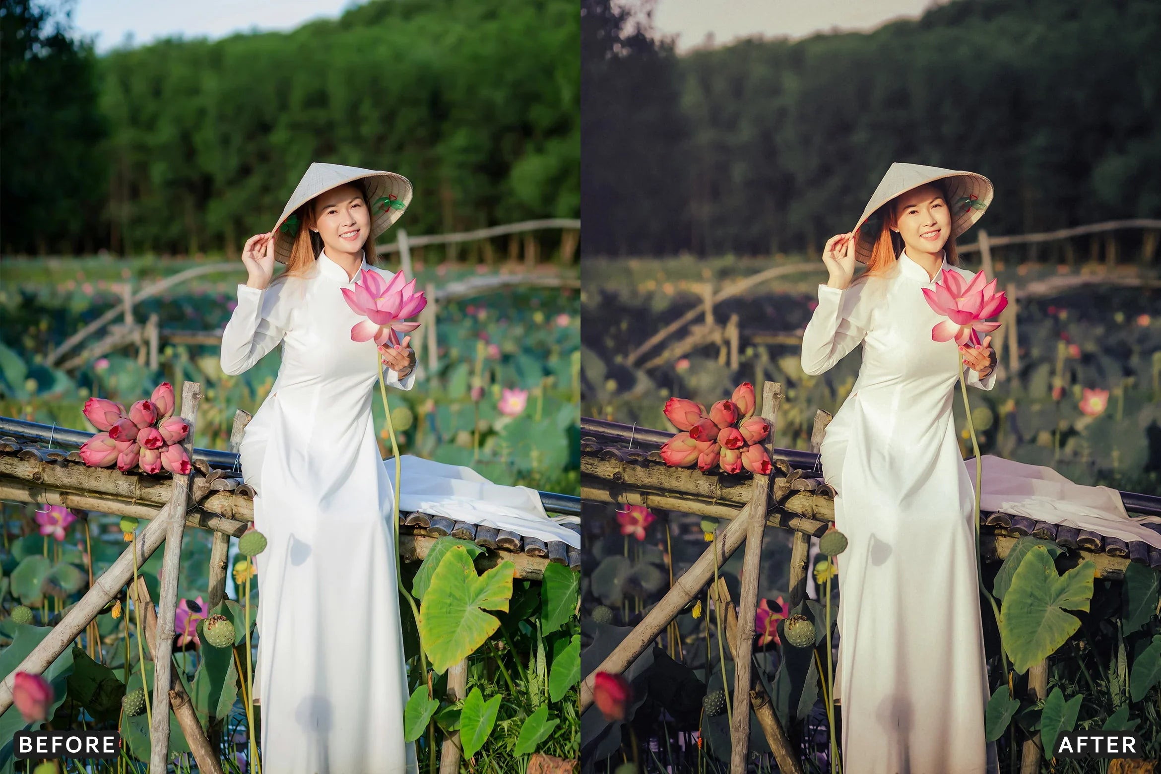 AI-Optimized Deep Green Cinematic Lightroom Presets - Lightroom Presets - by AAA Presets