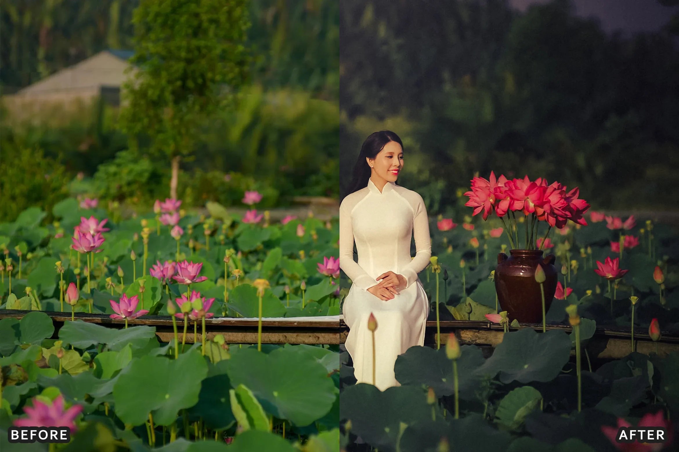 AI-Optimized Deep Green Cinematic Lightroom Presets - Lightroom Presets - by AAA Presets