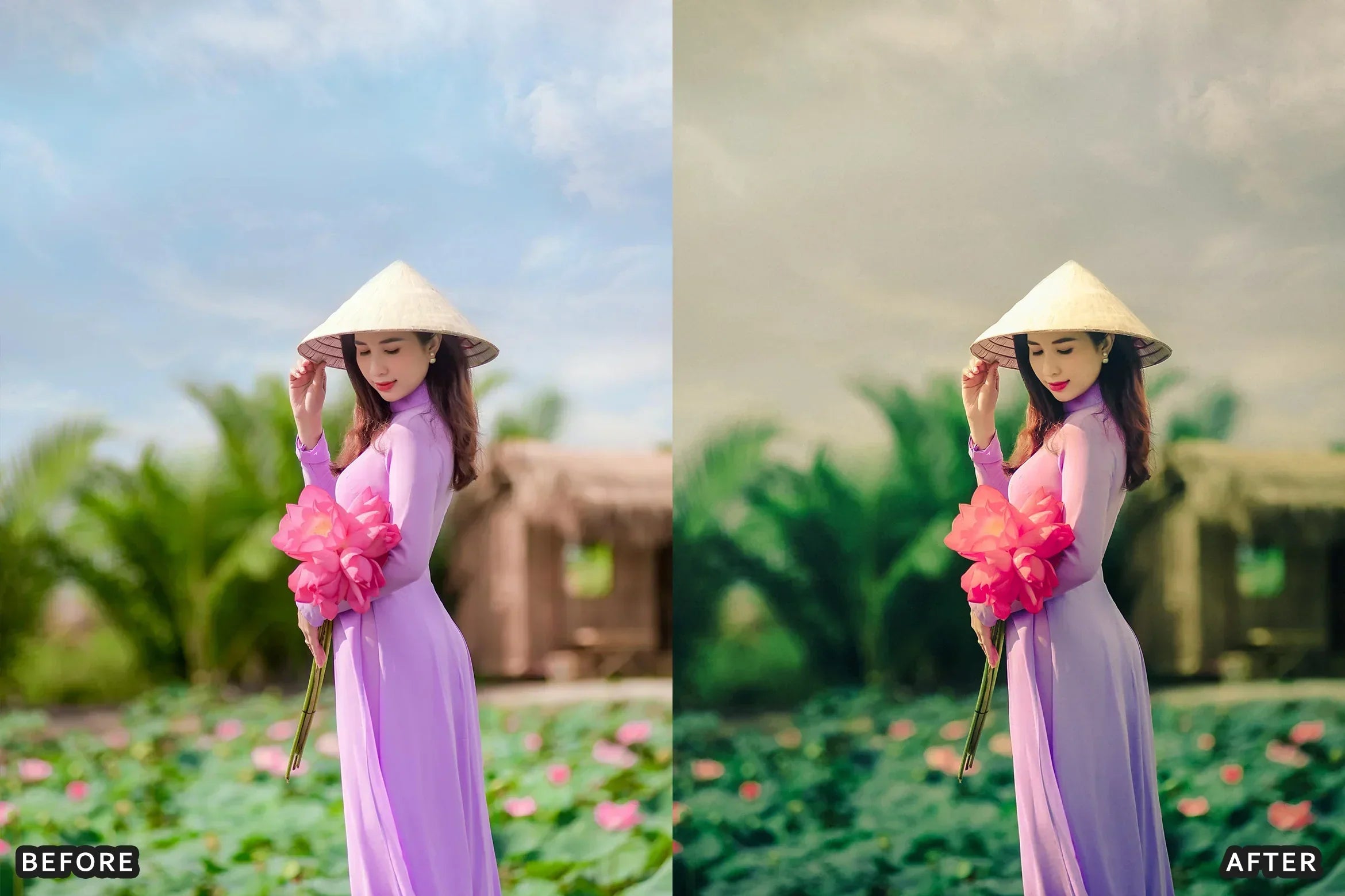 AI-Optimized Deep Green Cinematic Lightroom Presets - Lightroom Presets - by AAA Presets