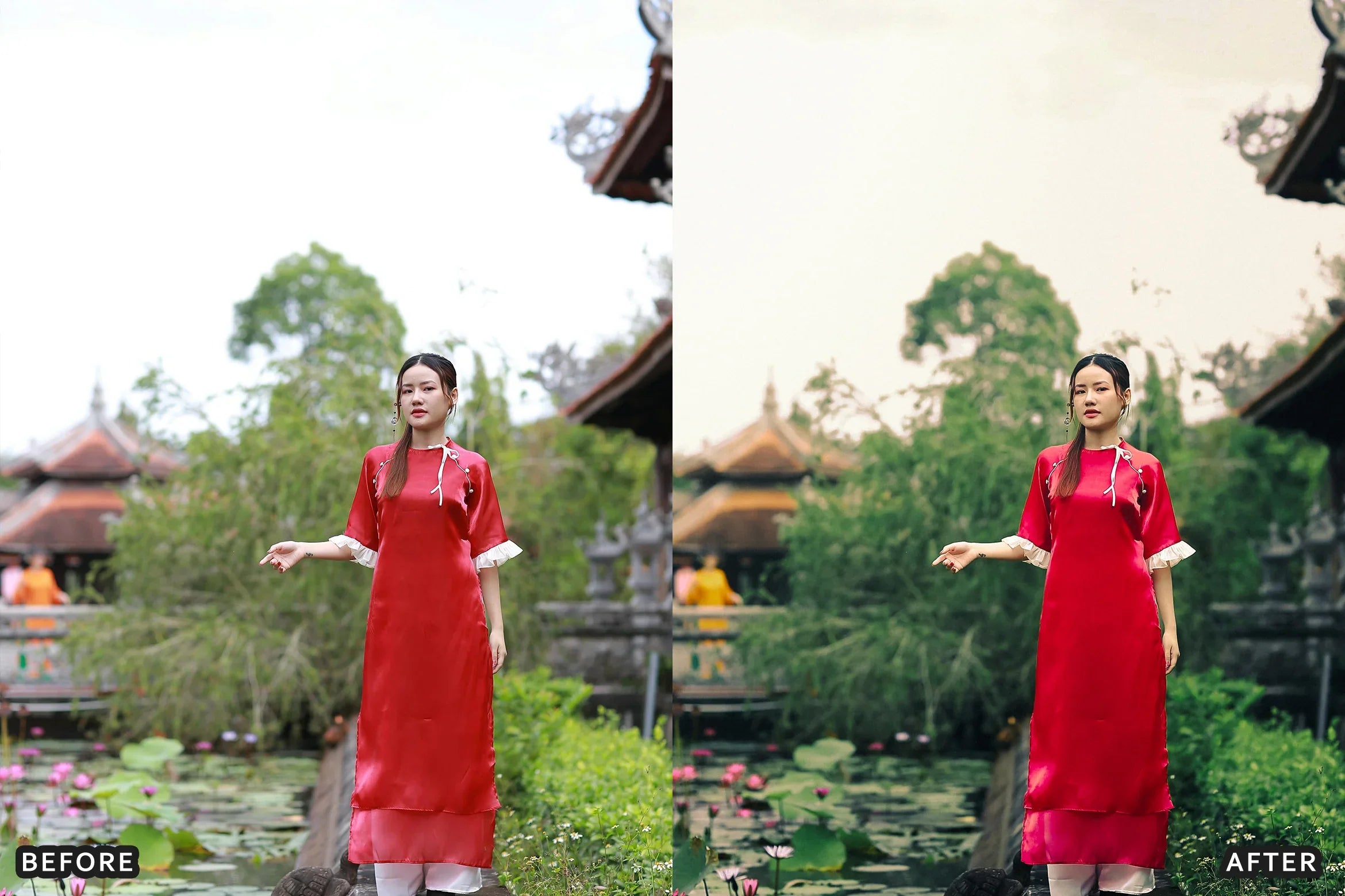 AI-Optimized Deep Green Cinematic Lightroom Presets - Lightroom Presets - by AAA Presets