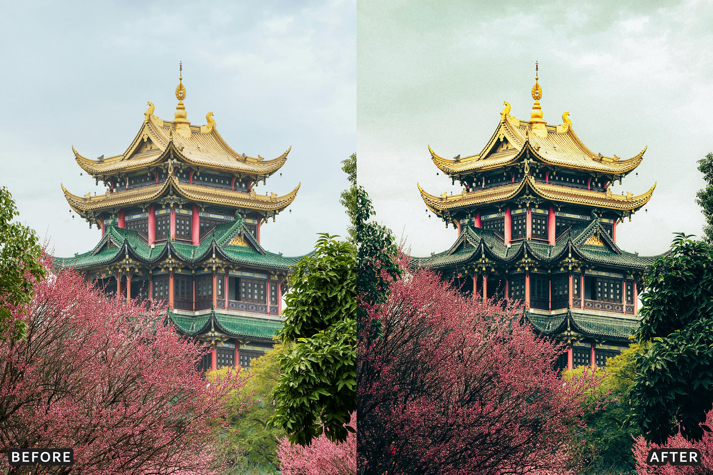 AI-Optimized Deep Jungle Tones Lightroom Presets - adobe lightroom presets, Blogger presets, Cinematic Presets, HDR presets, instagram presets, landscape presets, lightroom presets, moody presets, presets before and after, professional lightroom presets - aaapresets.com