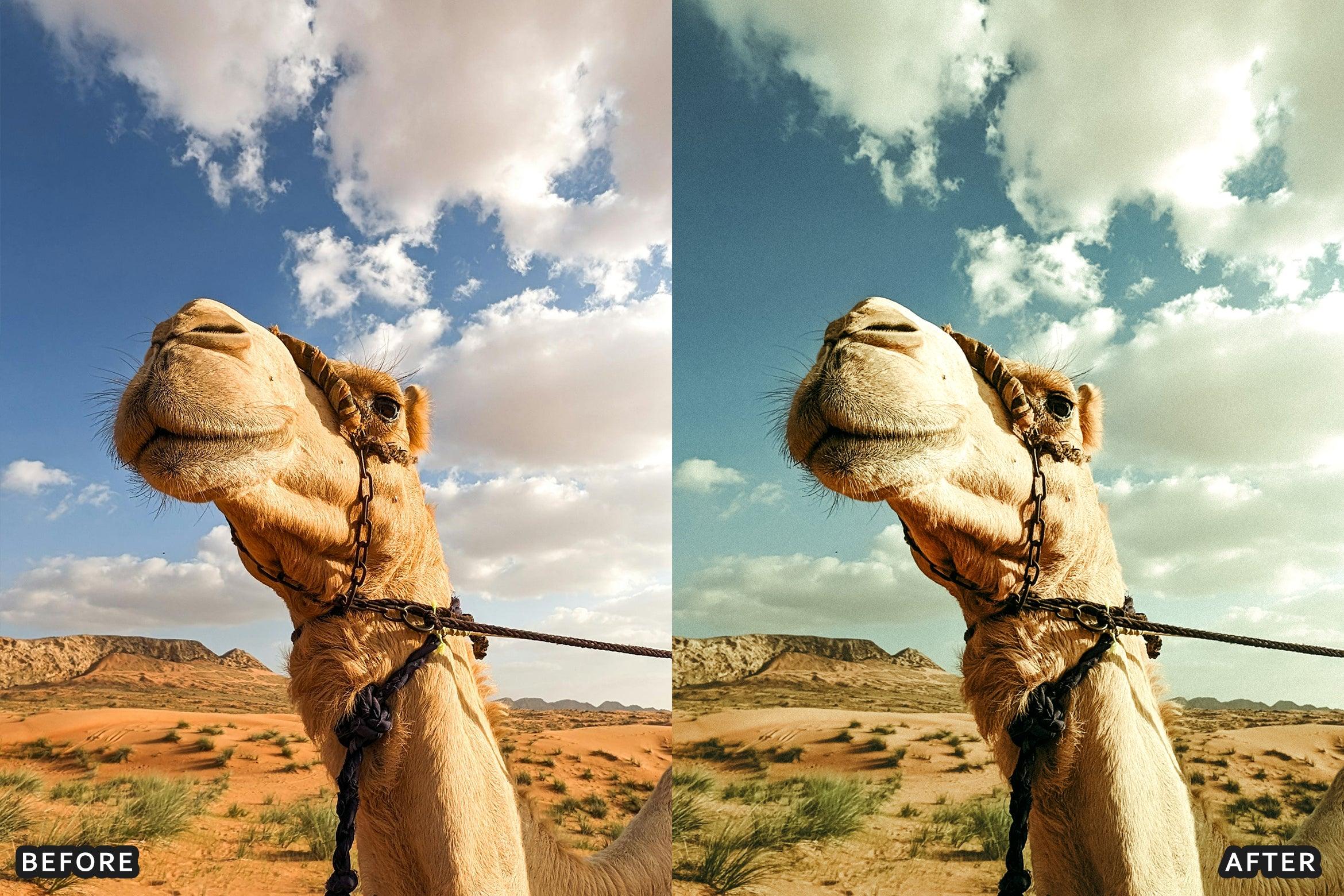 AI-Optimized Desert Lightroom Presets - Lightroom Presets - by AAA Presets