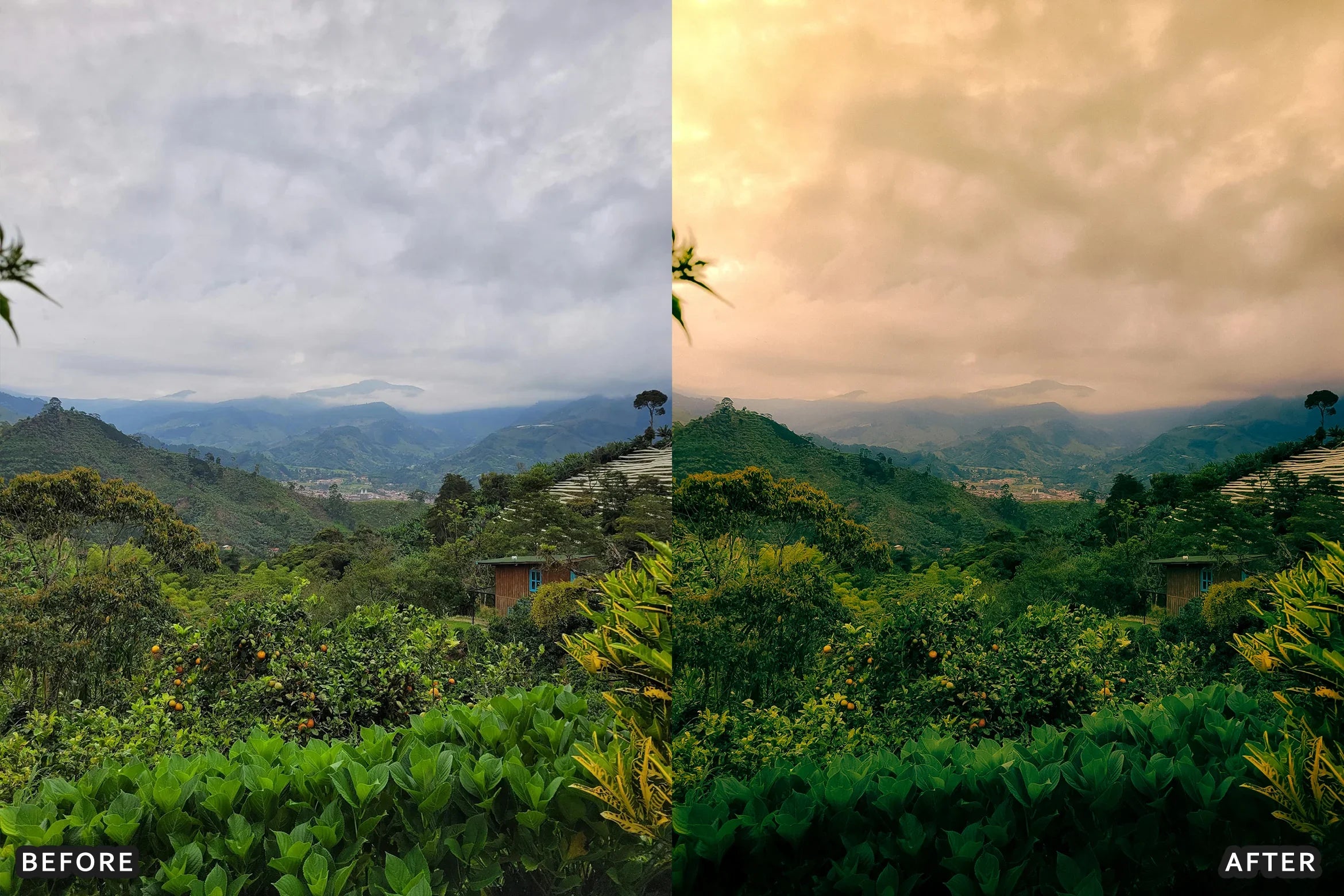AI-Optimized Foggy Morning Lightroom Presets - Lightroom Presets - by AAA Presets