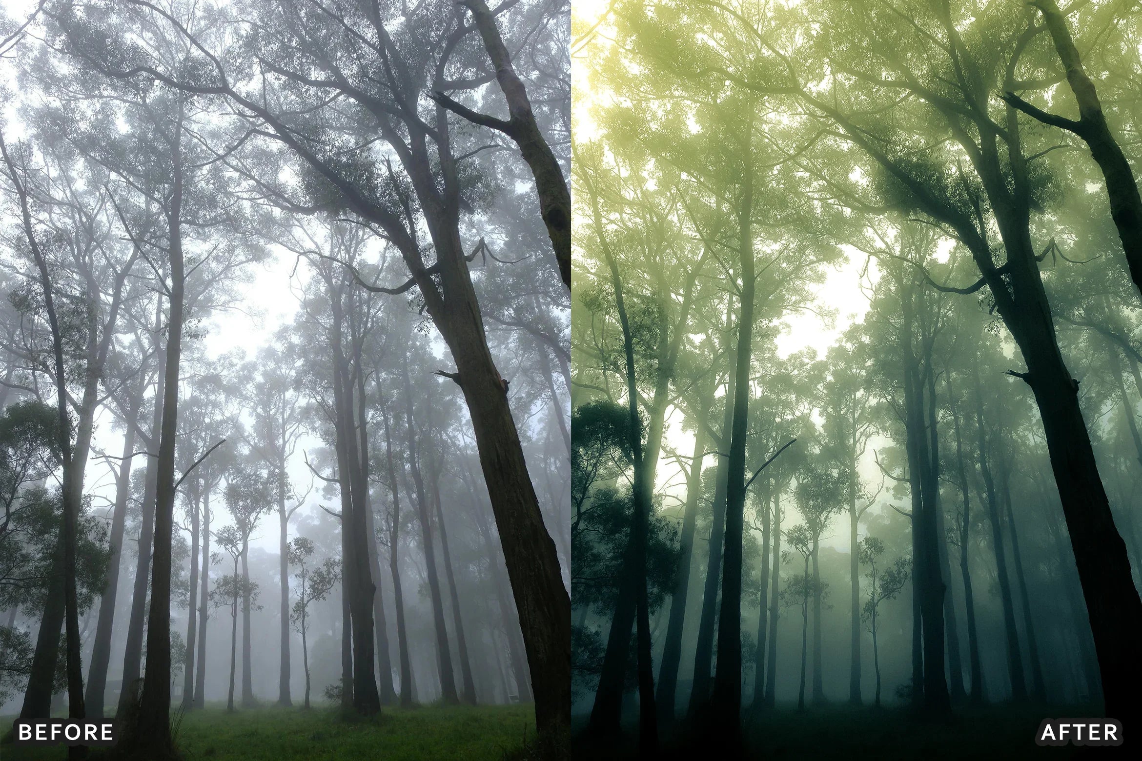 AI-Optimized Foggy Morning Lightroom Presets - Lightroom Presets - by AAA Presets