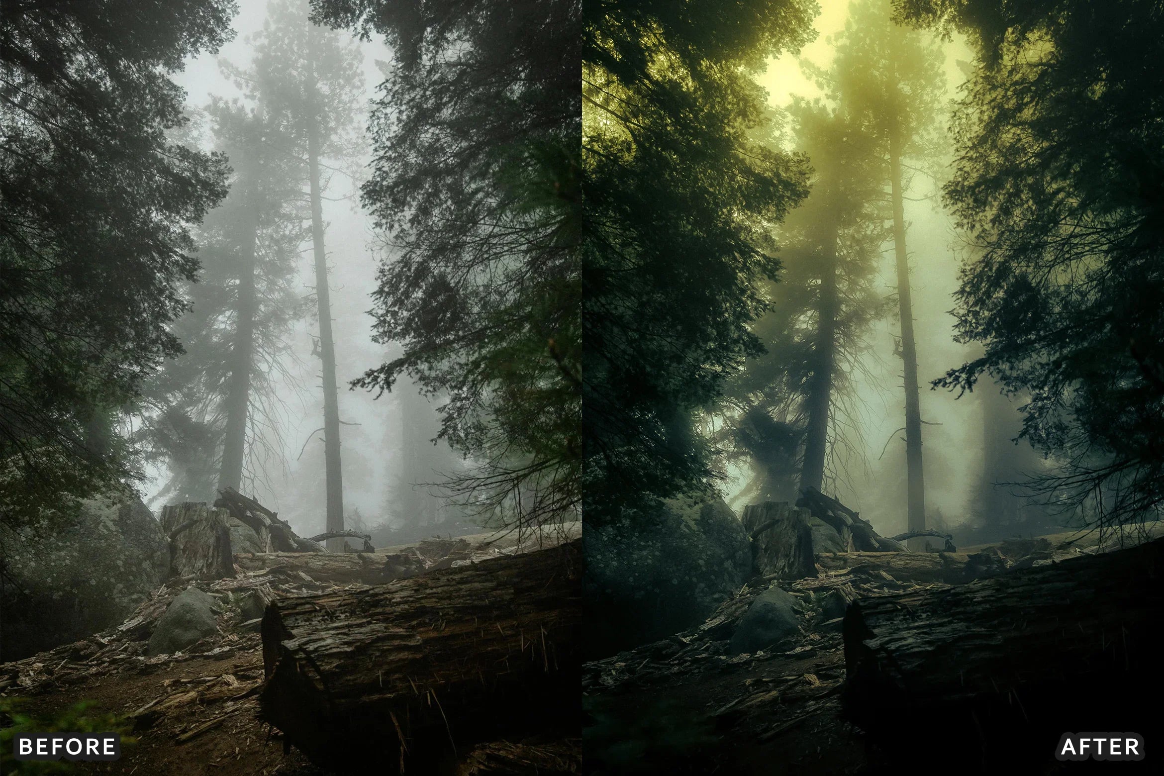 AI-Optimized Foggy Morning Lightroom Presets - Lightroom Presets - by AAA Presets