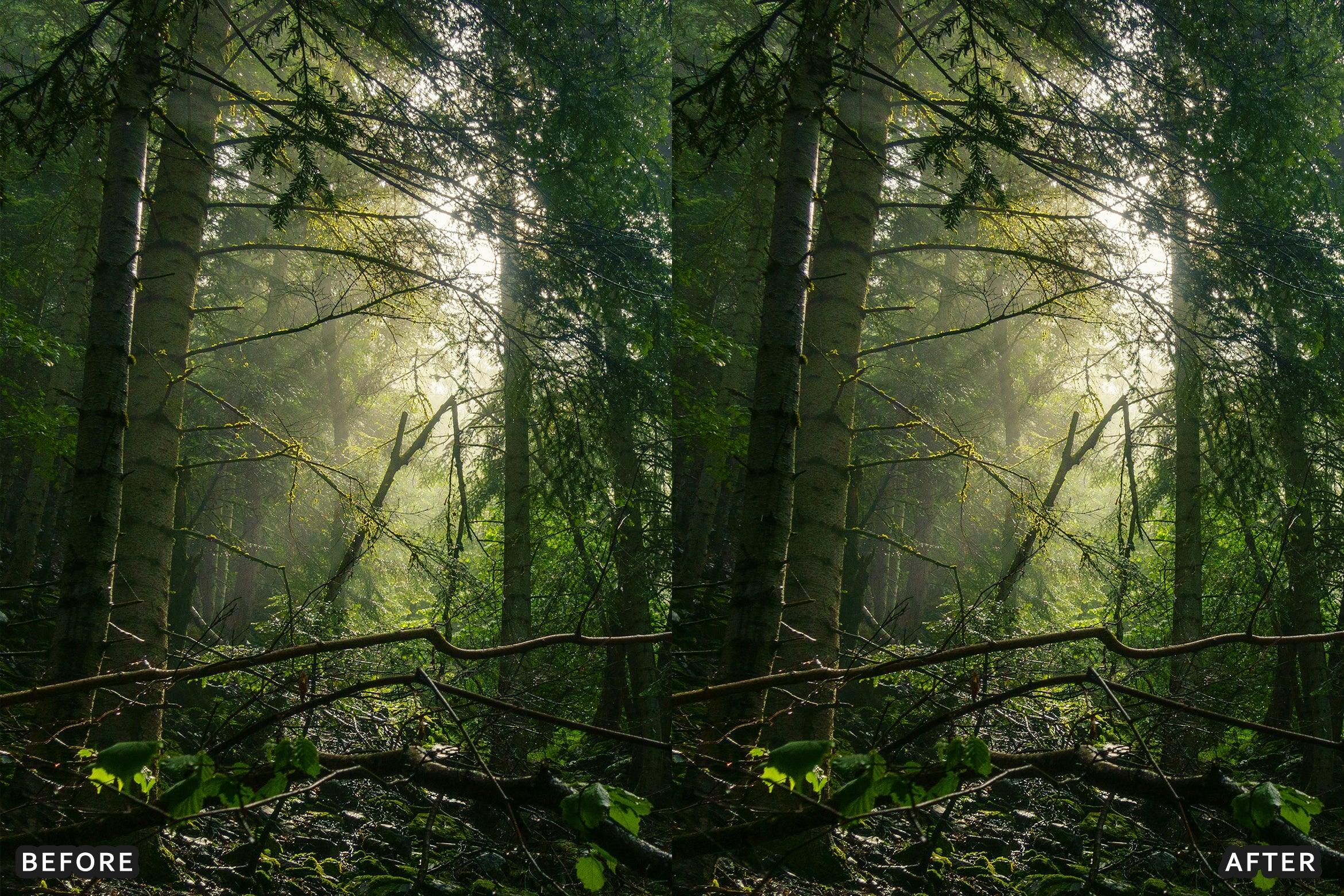 AI-Optimized Foggy Morning Lightroom Presets - Lightroom Presets - by AAA Presets