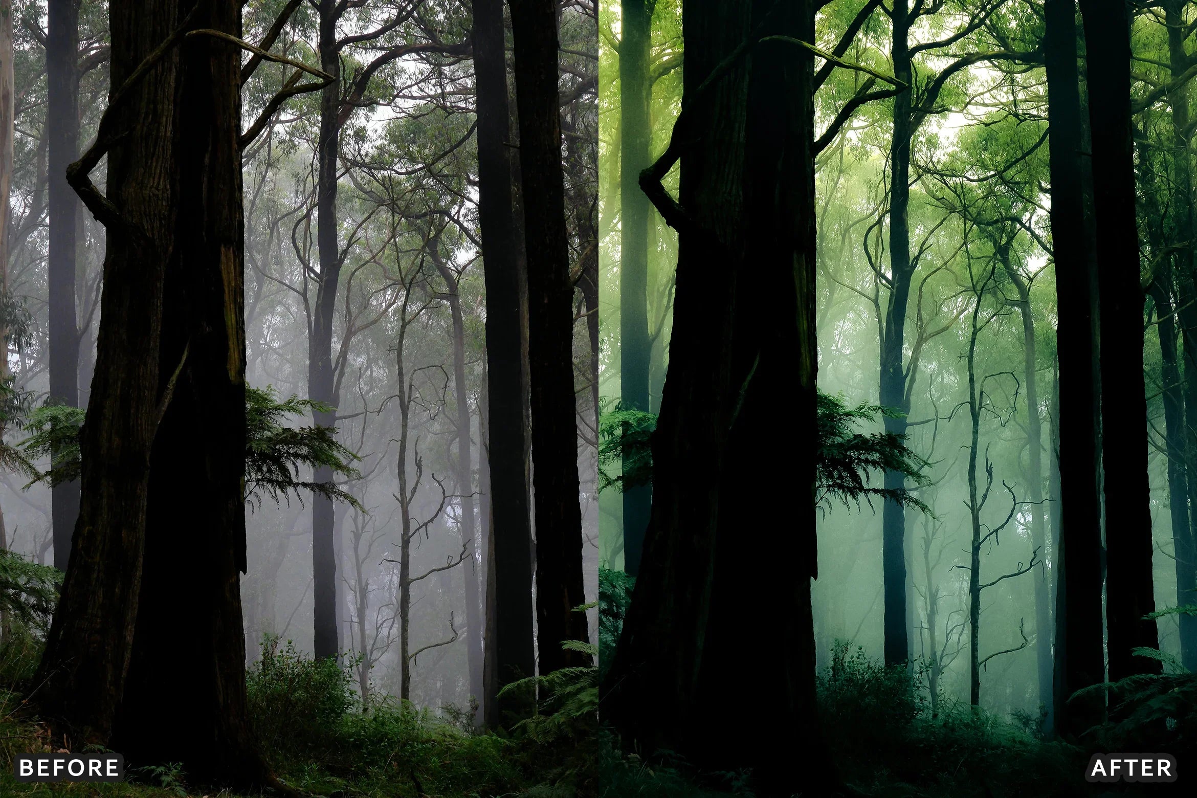 AI-Optimized Foggy Morning Lightroom Presets - Lightroom Presets - by AAA Presets