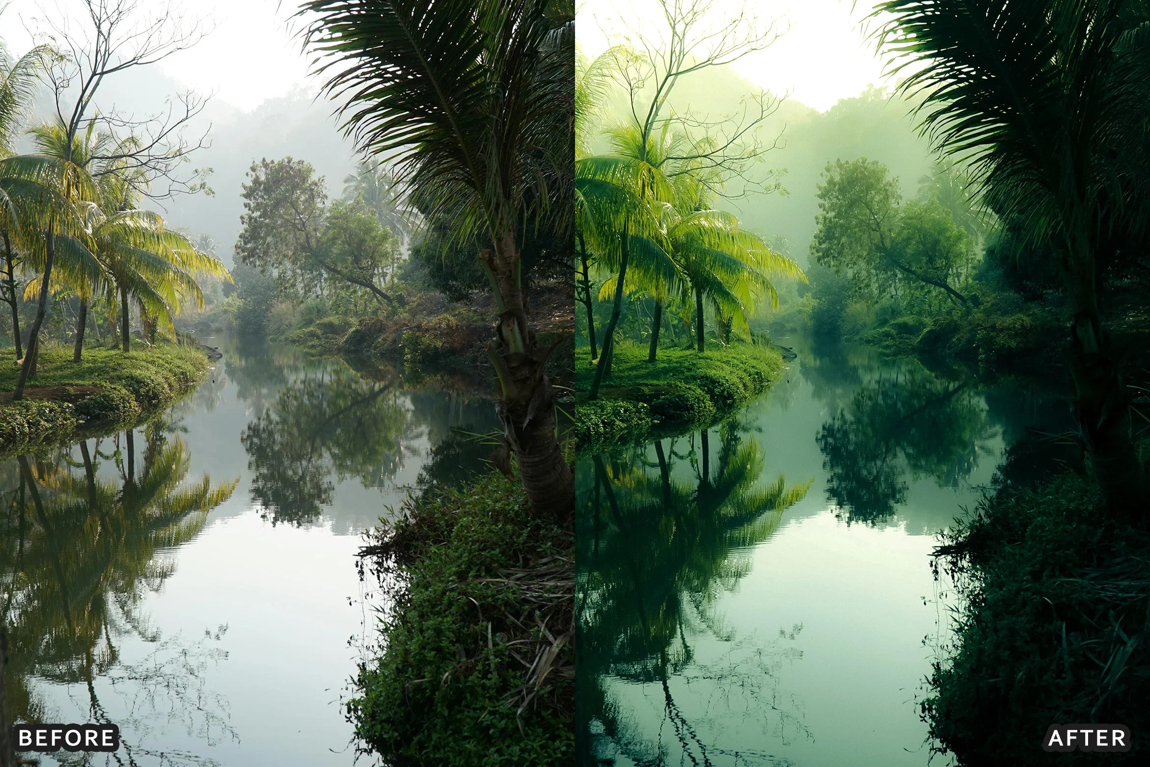 AI-Optimized Foggy Morning Lightroom Presets - Lightroom Presets - by AAA Presets