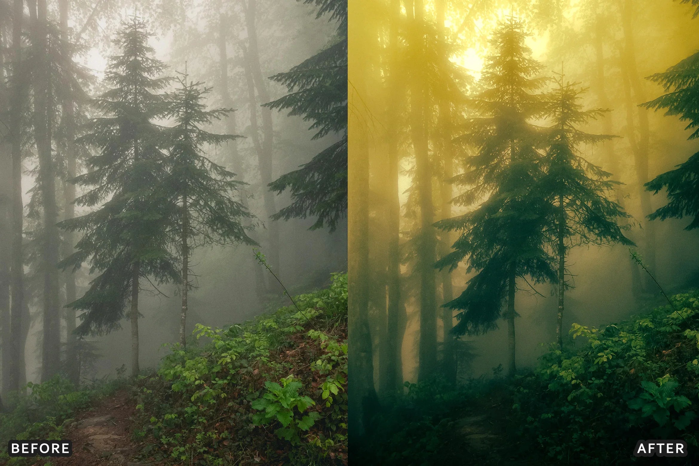 AI-Optimized Foggy Morning Lightroom Presets - Lightroom Presets - by AAA Presets