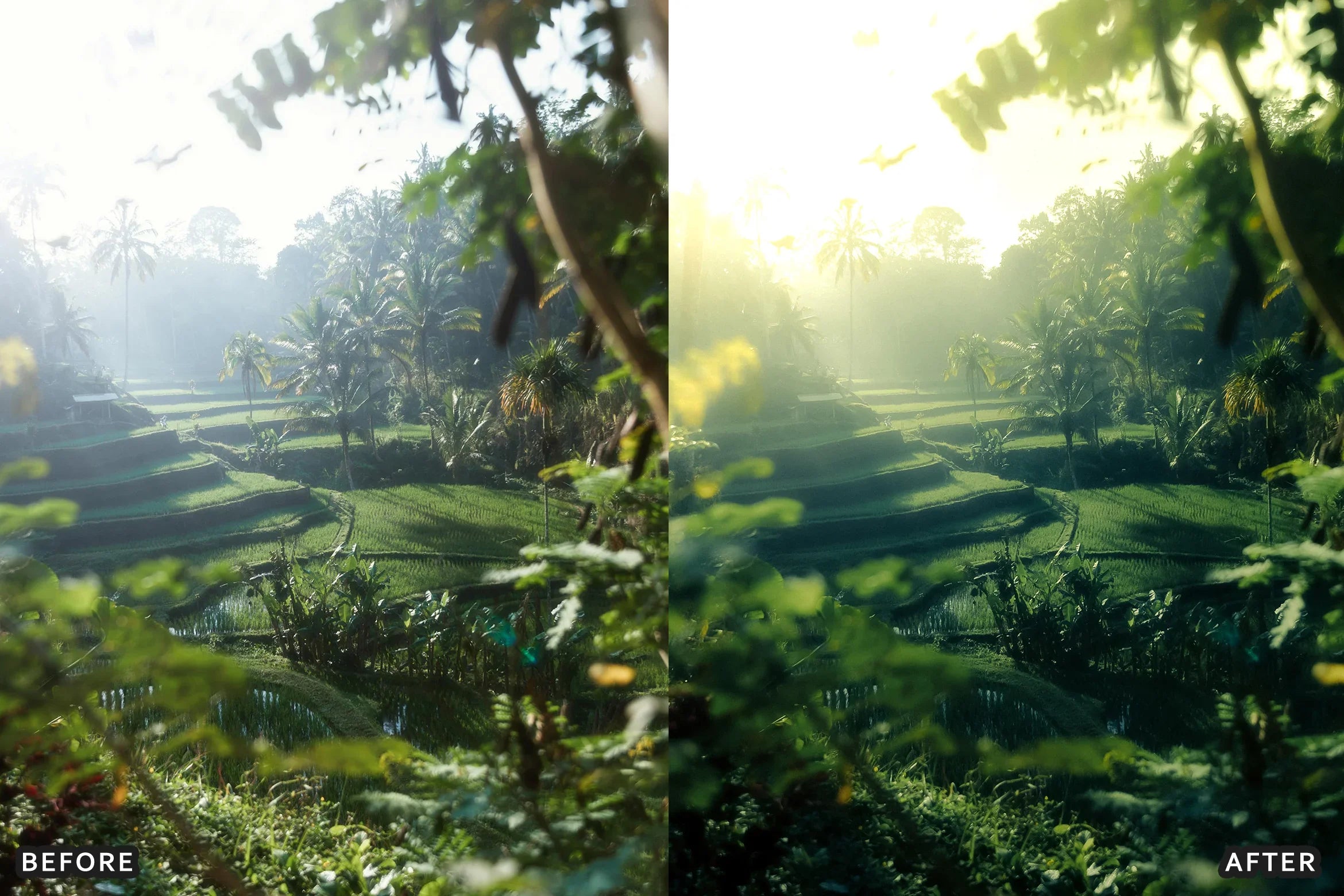 AI-Optimized Foggy Morning Lightroom Presets - Lightroom Presets - by AAA Presets