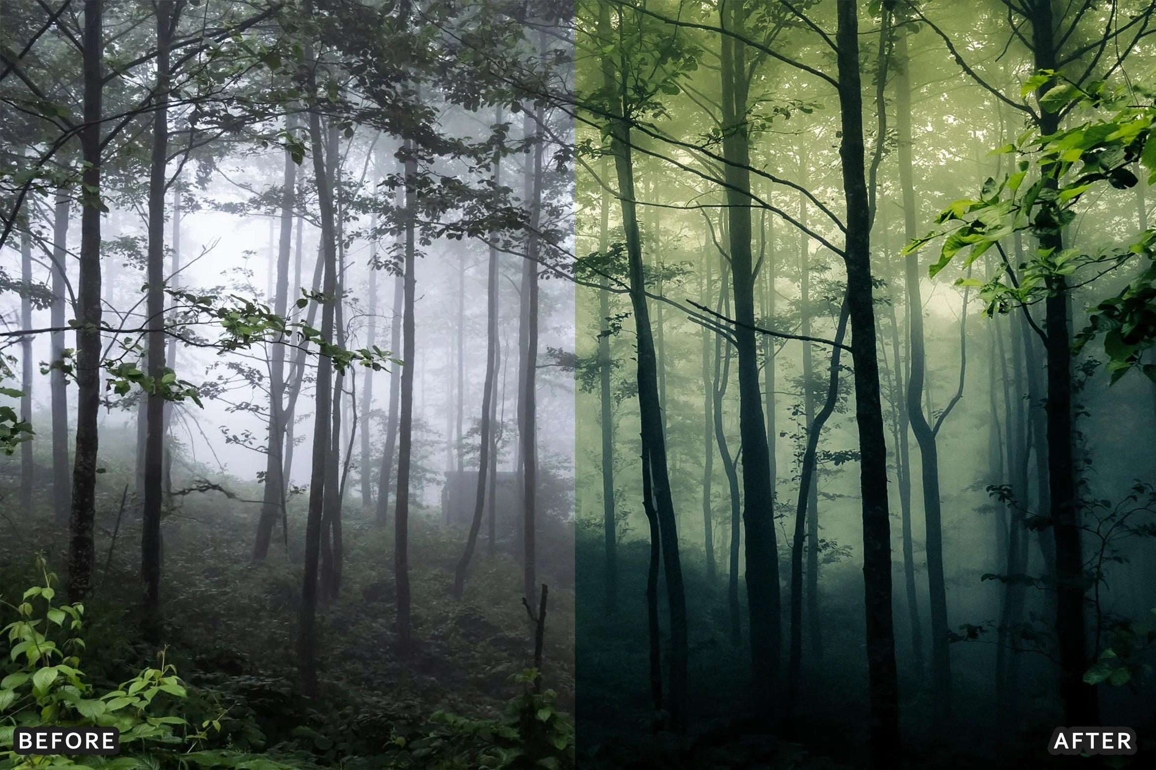 AI-Optimized Foggy Morning Lightroom Presets - Lightroom Presets - by AAA Presets
